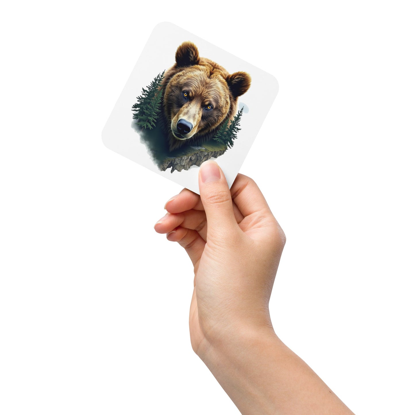 Bear Watching Cork - Back Coaster - Coasters - Discovery Co.