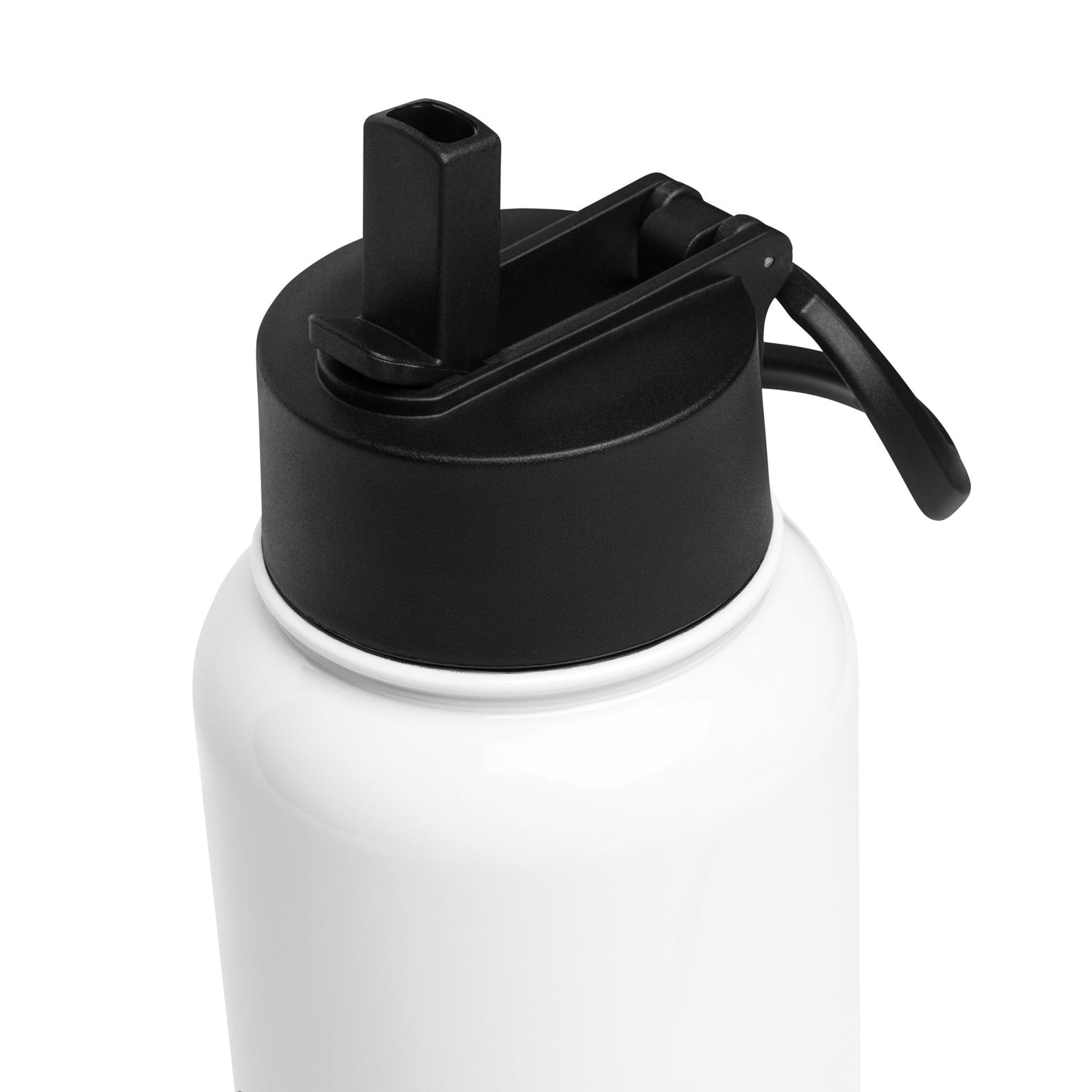 Bird Nerd Stainless Steel Water Bottle With Straw Lid - Stainless Steel Water Bottle With Straw Lid - Discovery Co.