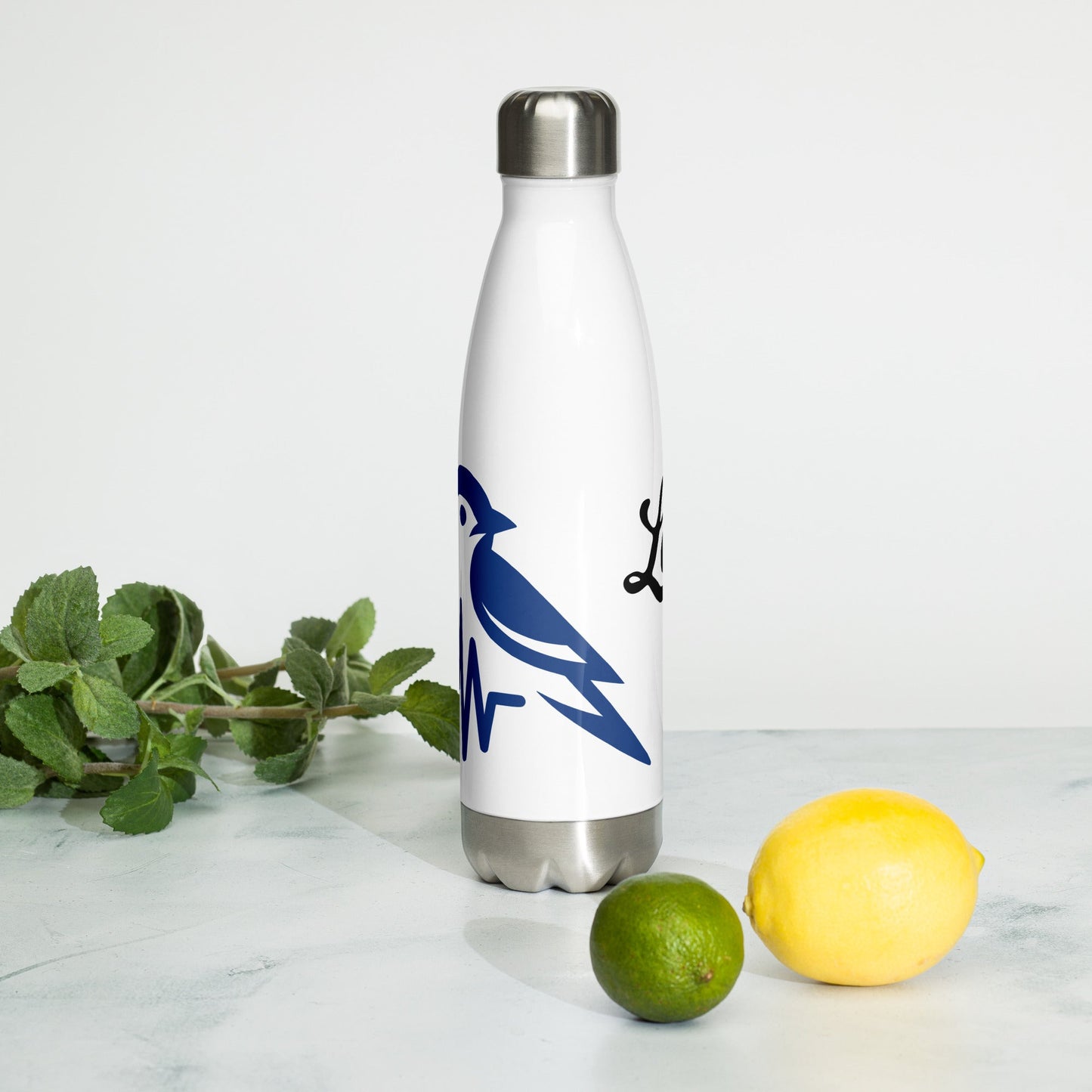 Blue Bird Heartbeat Stainless Steel Water Bottle - Stainless Steel Water Bottle - Discovery Co.