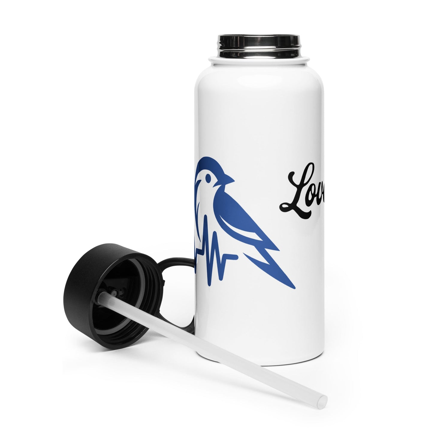 Blue Bird Heartbeat Stainless Steel Water Bottle With Straw Lid - Stainless Steel Water Bottle With Straw Lid - Discovery Co.