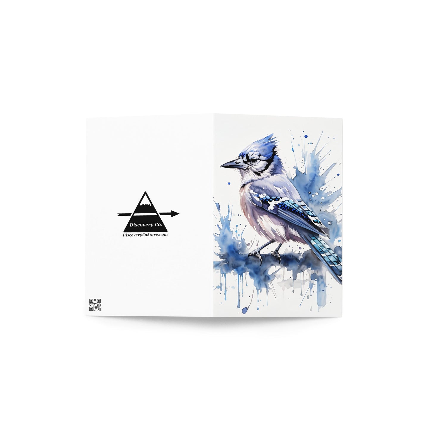 Blue Jay II Greeting Card - Greeting Card - Discovery Co.