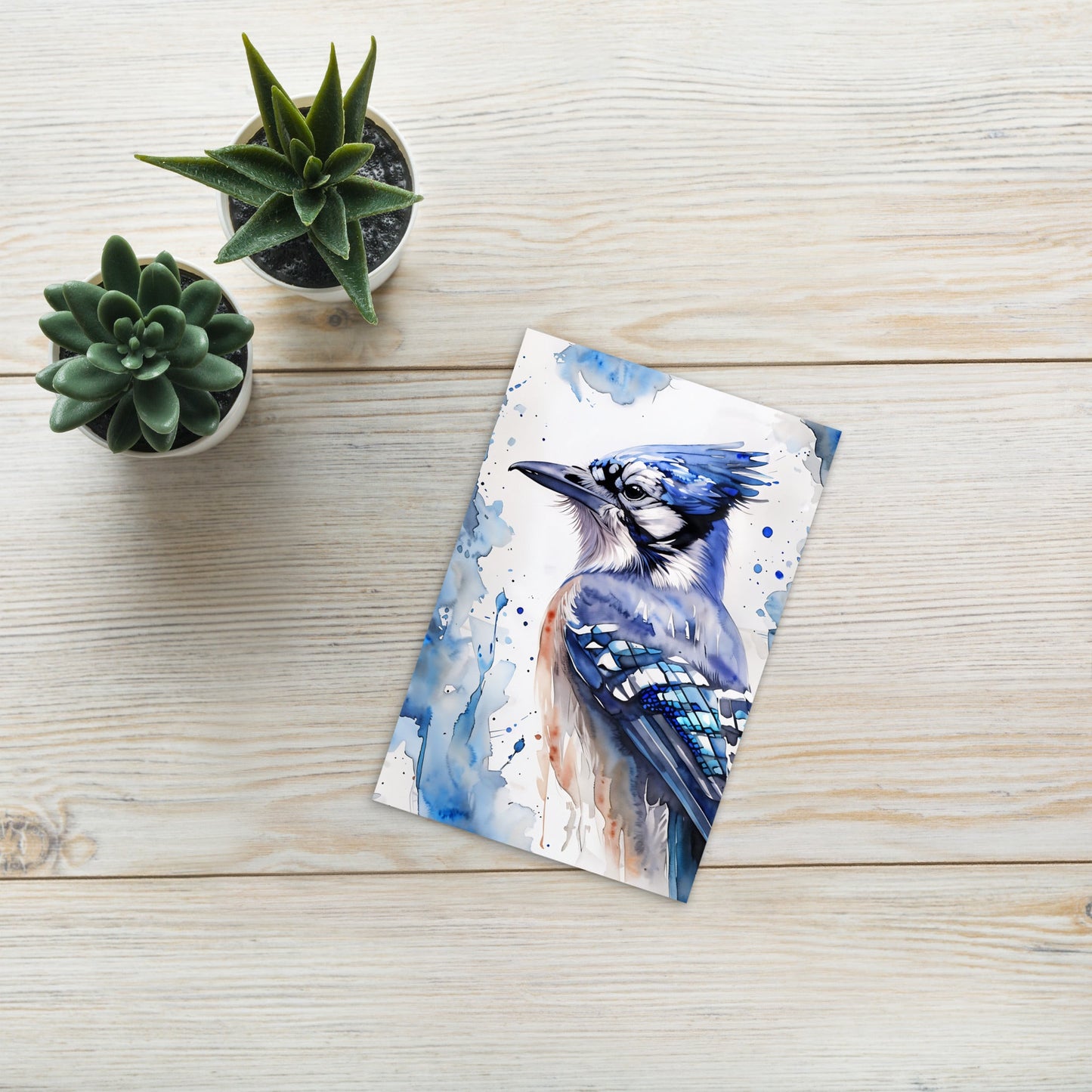 Blue Jay Standard Postcard - Post Cards - Discovery Co.
