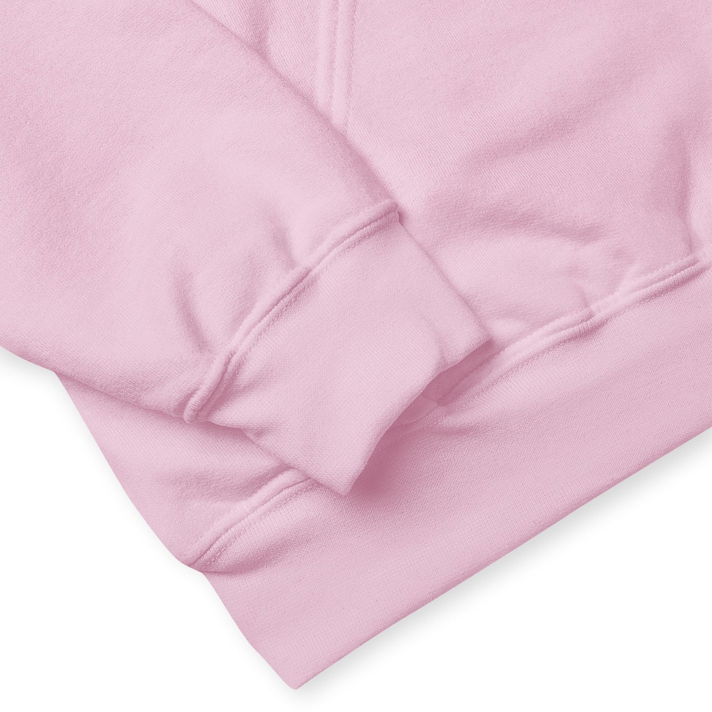Don't Be A Fly Be A Dragon II Women's (Unisex) Hoodie - Discovery Co.
