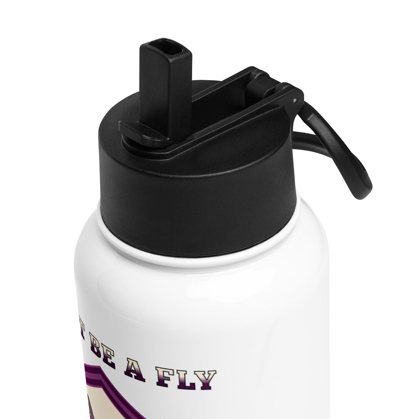 Don't Be A Fly Be A Dragon Stainless Steel Water Bottle With Straw Lid - Stainless Steel Water Bottle With Straw Lid - Discovery Co.