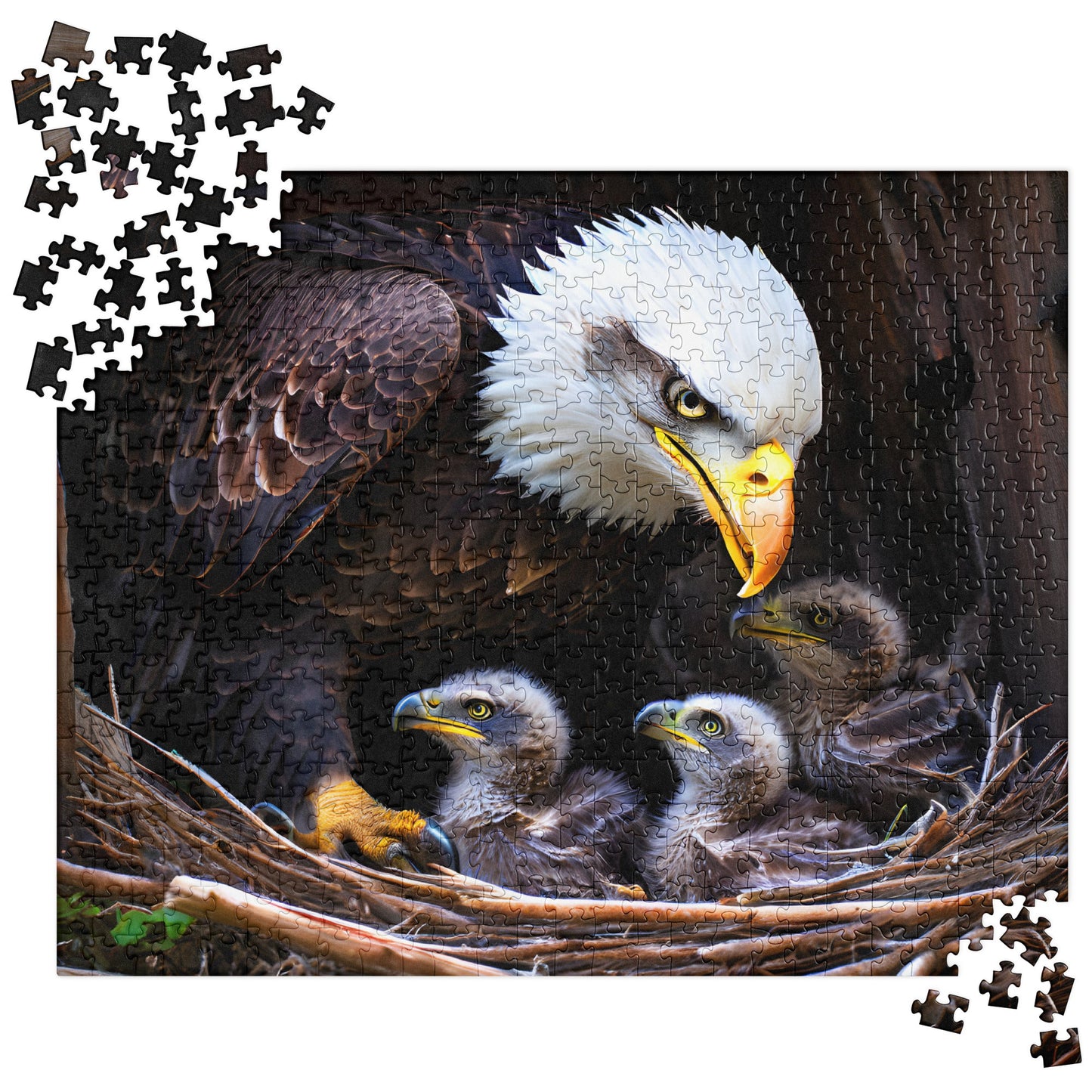 Eagle Jigsaw Puzzle - Puzzle - Discovery Co.