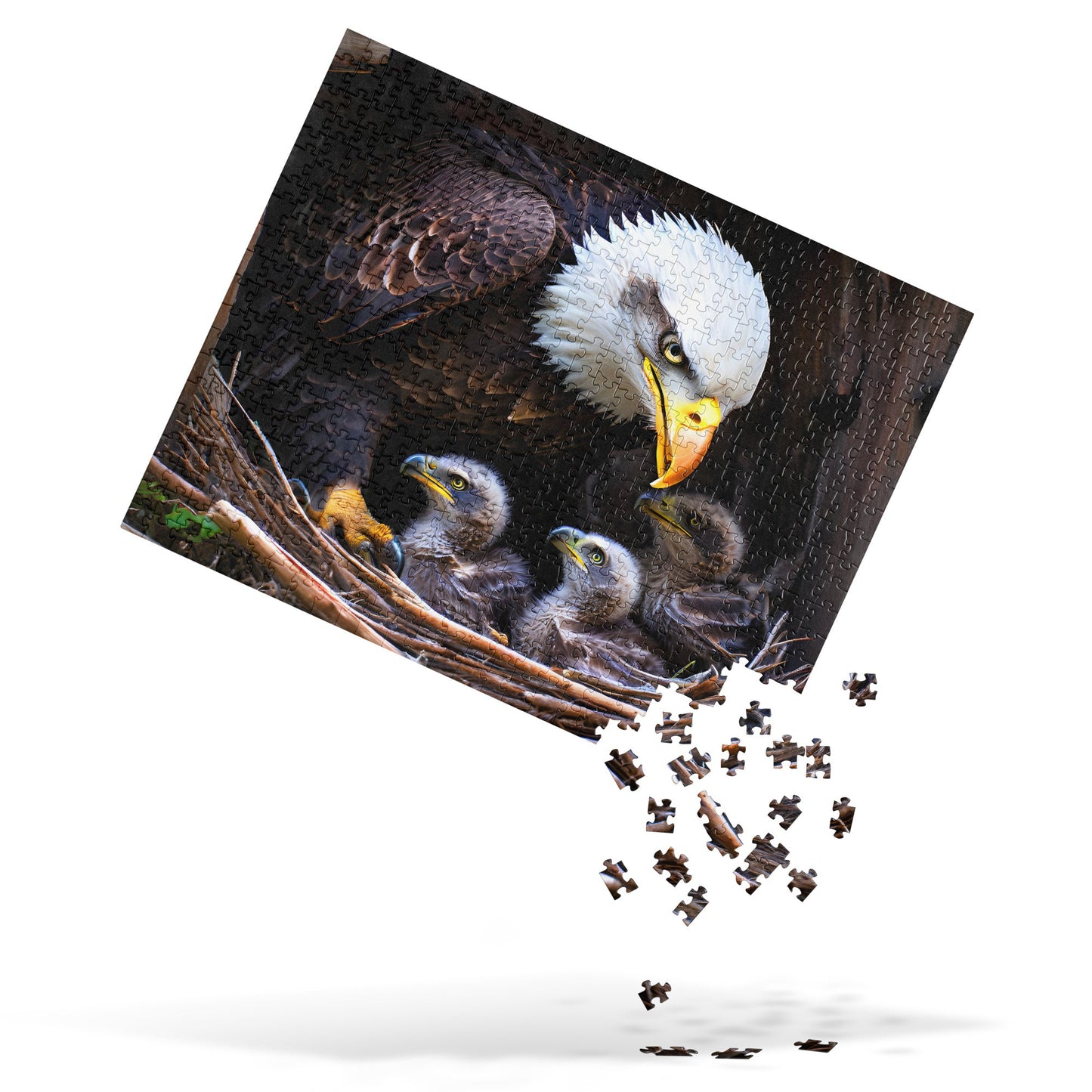 Eagle Jigsaw Puzzle - Puzzle - Discovery Co.