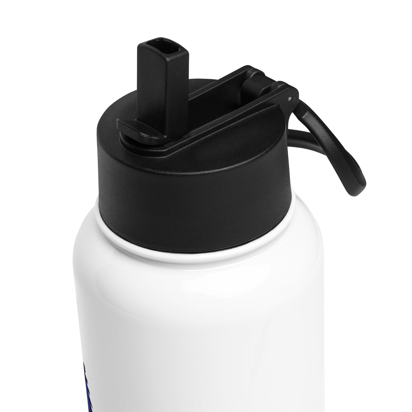 Gecko Watercolor Art Stainless Steel Water Bottle With Straw Lid - Stainless Steel Water Bottle With Straw Lid - Discovery Co.