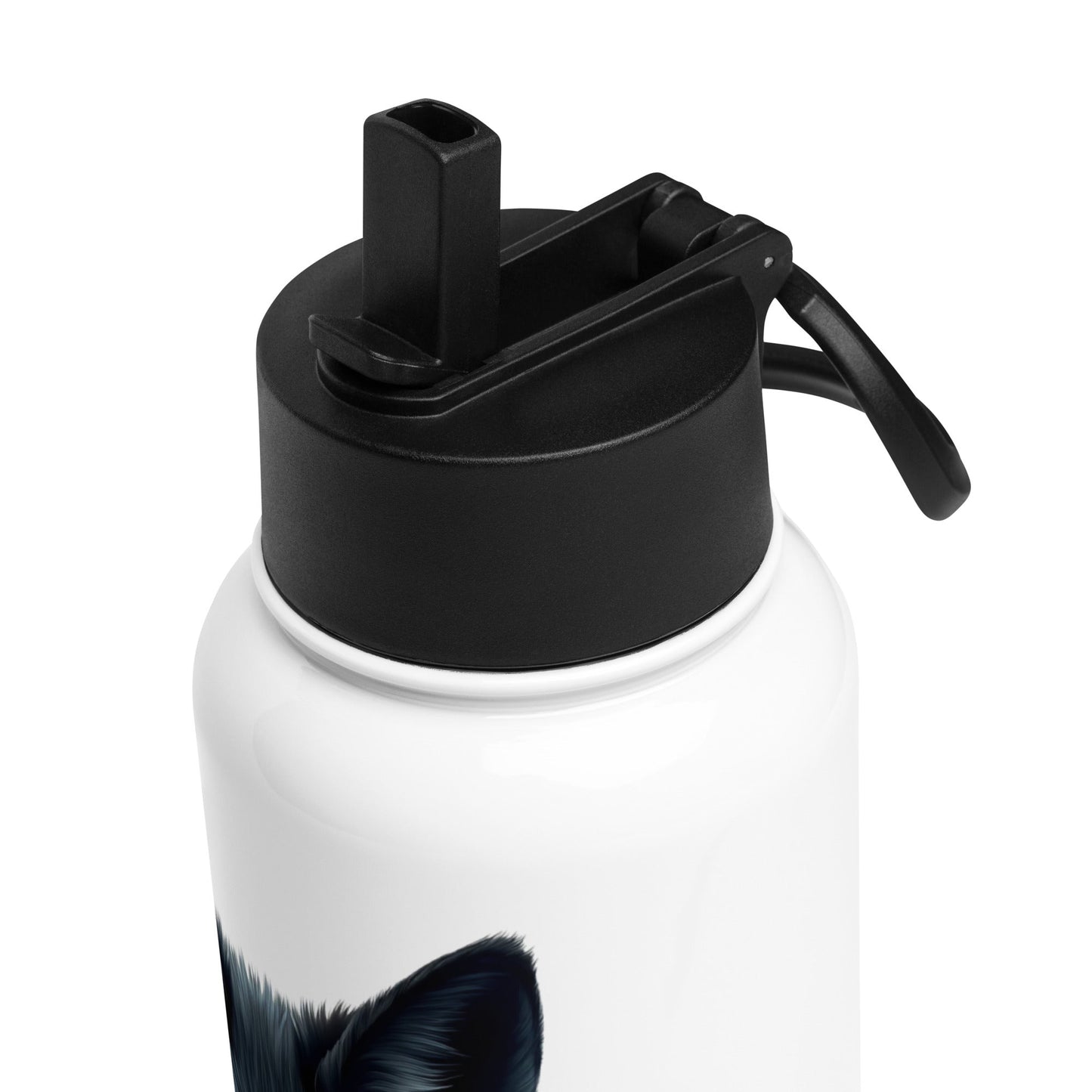 Mystic Fox Stainless Steel Water Bottle With Straw Lid - Stainless Steel Water Bottle With Straw Lid - Discovery Co.