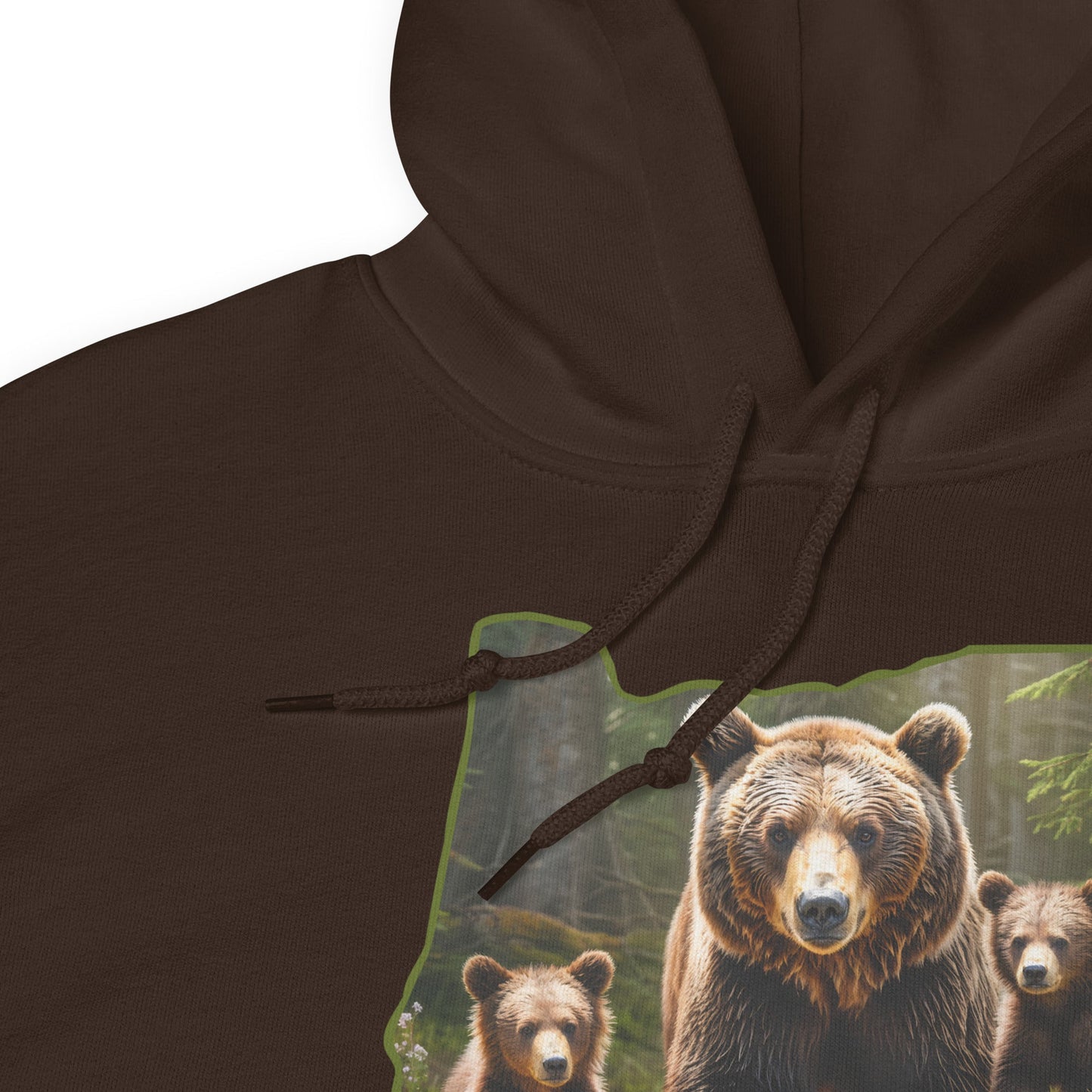 Oregon Bear Family Women's (Unisex) Hoodie - Hoodies - Discovery Co.