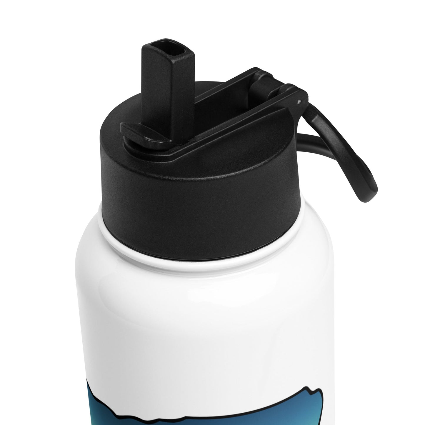 Oregon Sunset Forest II Stainless Steel Water Bottle With Straw Lid - Stainless Steel Water Bottle With Straw Lid - Discovery Co.