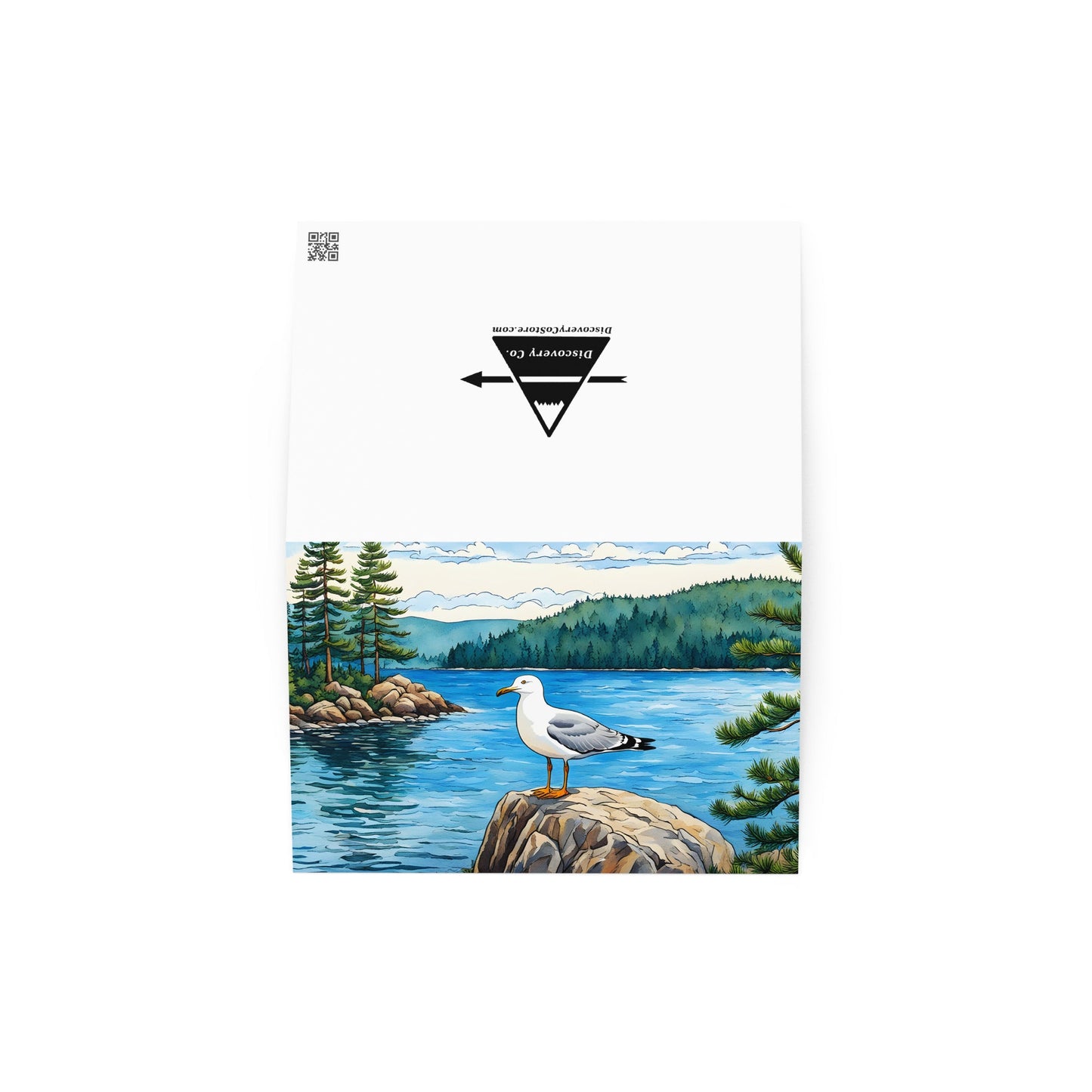 Seagull On A Rock Greeting Card - Greeting Card - Discovery Co.