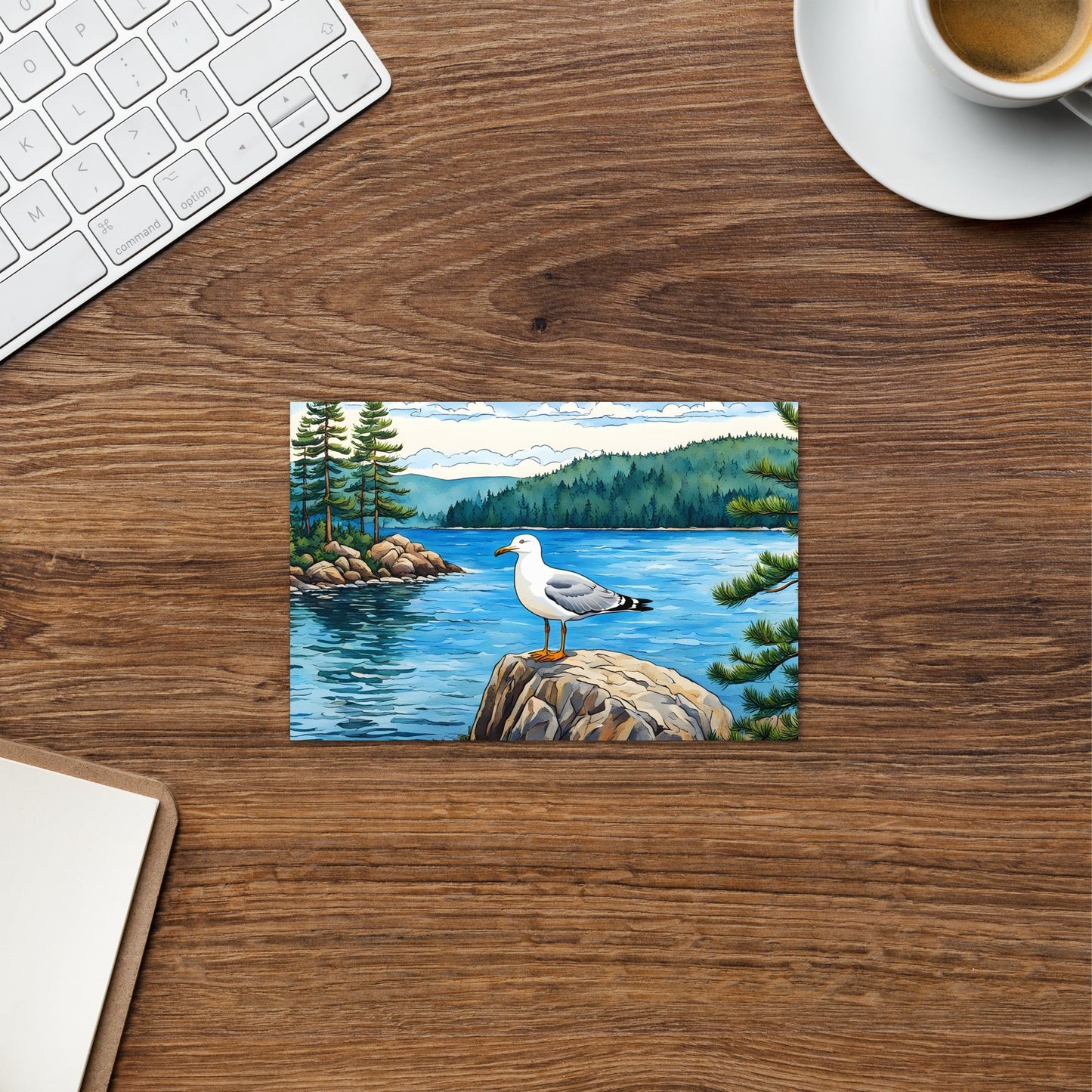 Seagull On A Rock Greeting Card - Greeting Card - Discovery Co.
