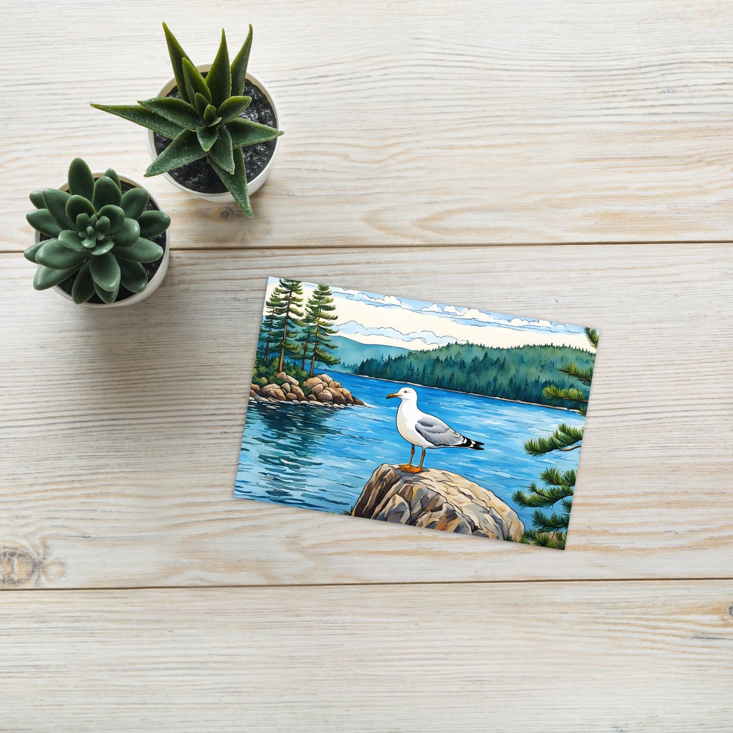 Seagull On A Rock Greeting Card - Greeting Card - Discovery Co.