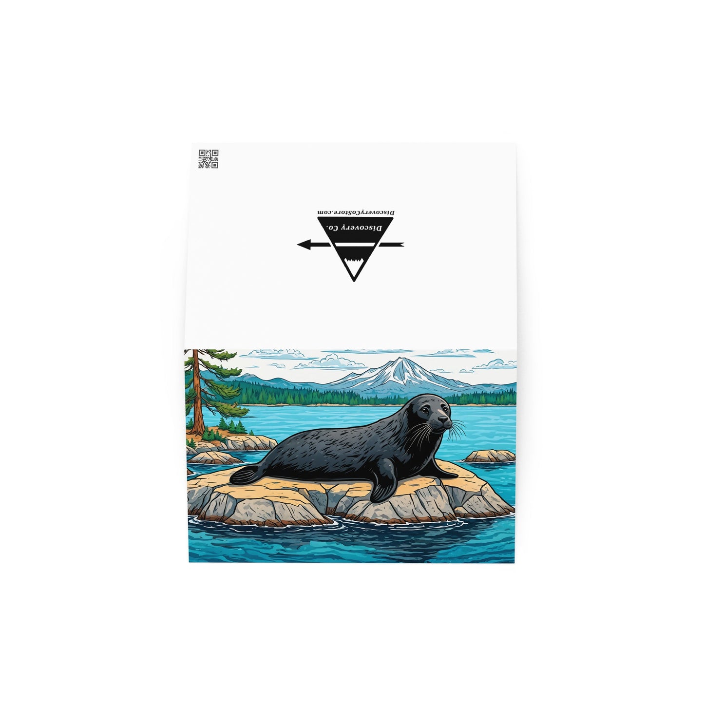 Seal On A Rock Greeting Card - Greeting Card - Discovery Co.