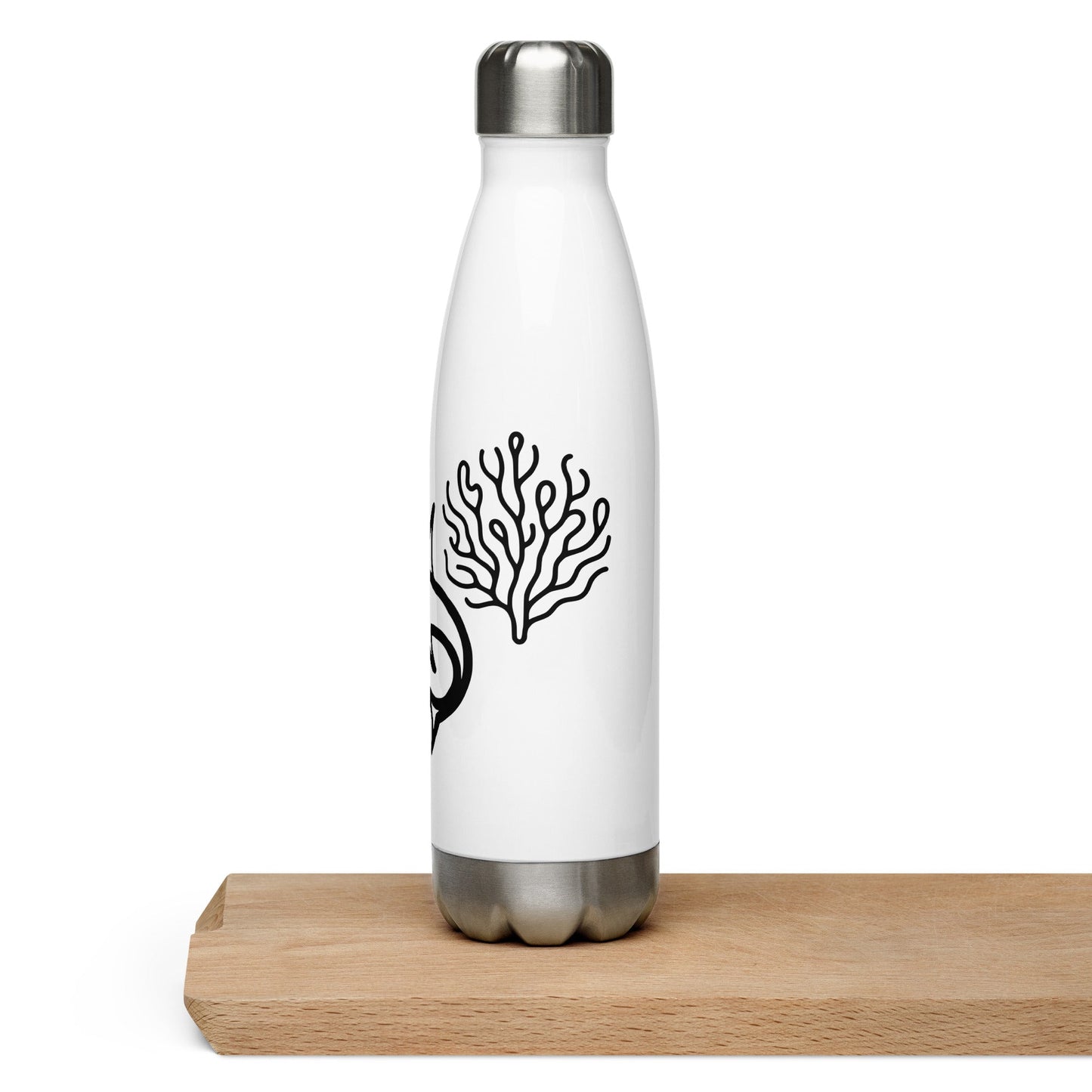 Shark II Stainless Steel Water Bottle - Stainless Steel Water Bottle - Discovery Co.