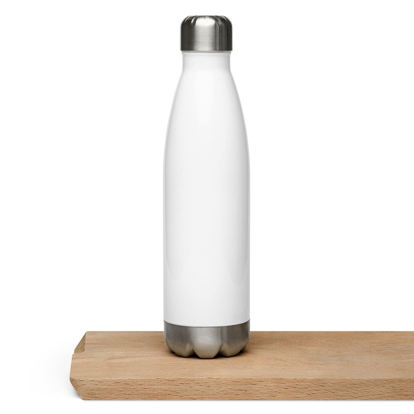 Winging It Stainless Steel Water Bottle - Stainless Steel Water Bottle - Discovery Co.
