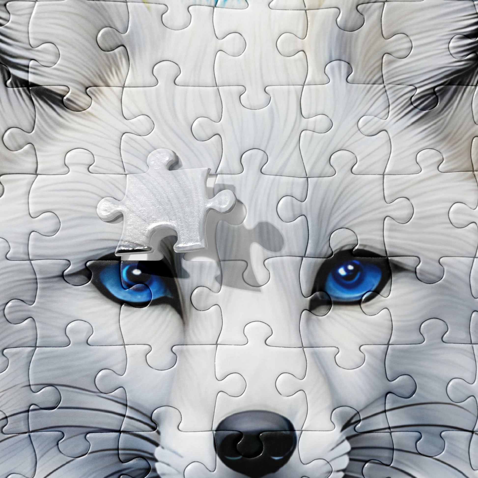 Arctic Fox Jigsaw Puzzle - Puzzle - Discovery Co.
