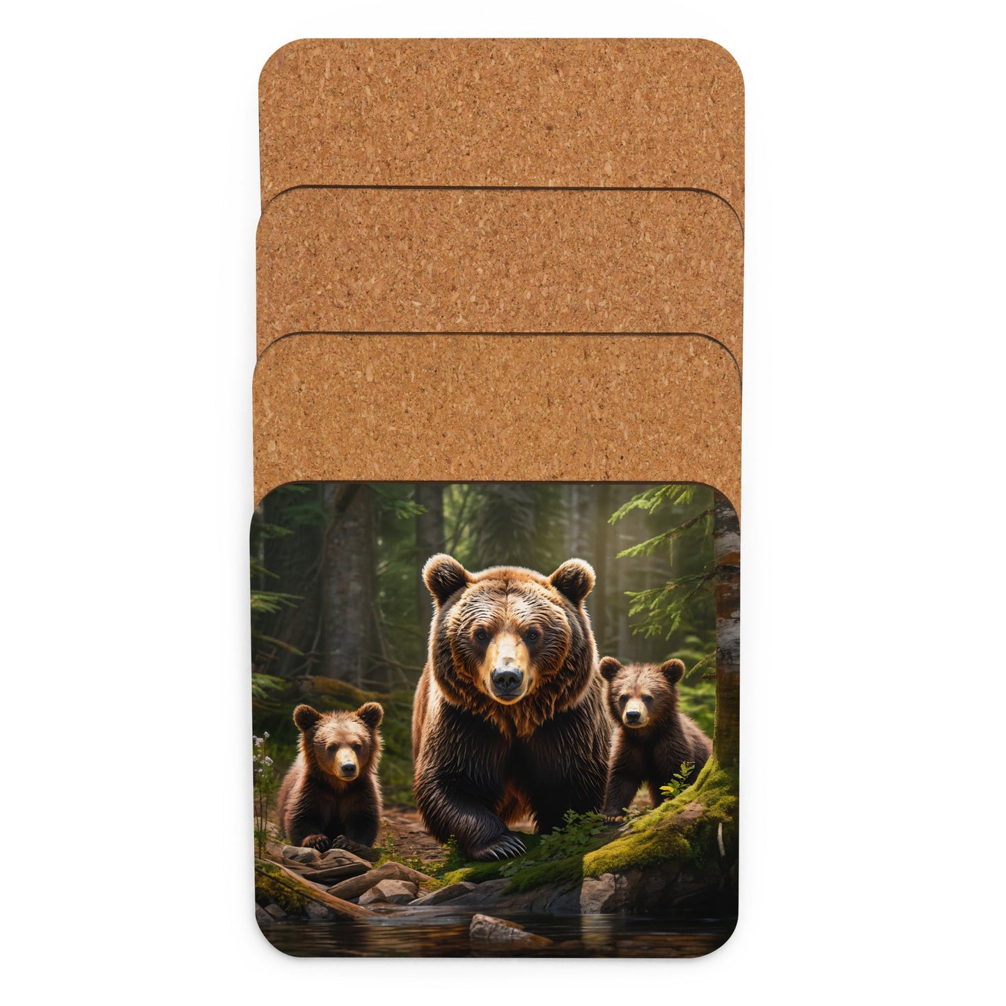 Bear Family Cork - back Coaster - Coasters - Discovery Co.