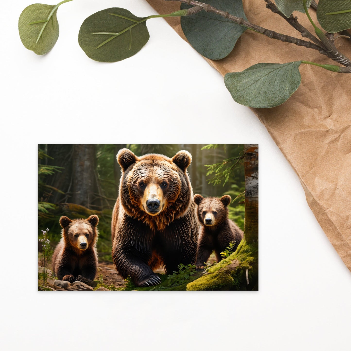 Bear Family Standard Postcard - Post Cards - Discovery Co.