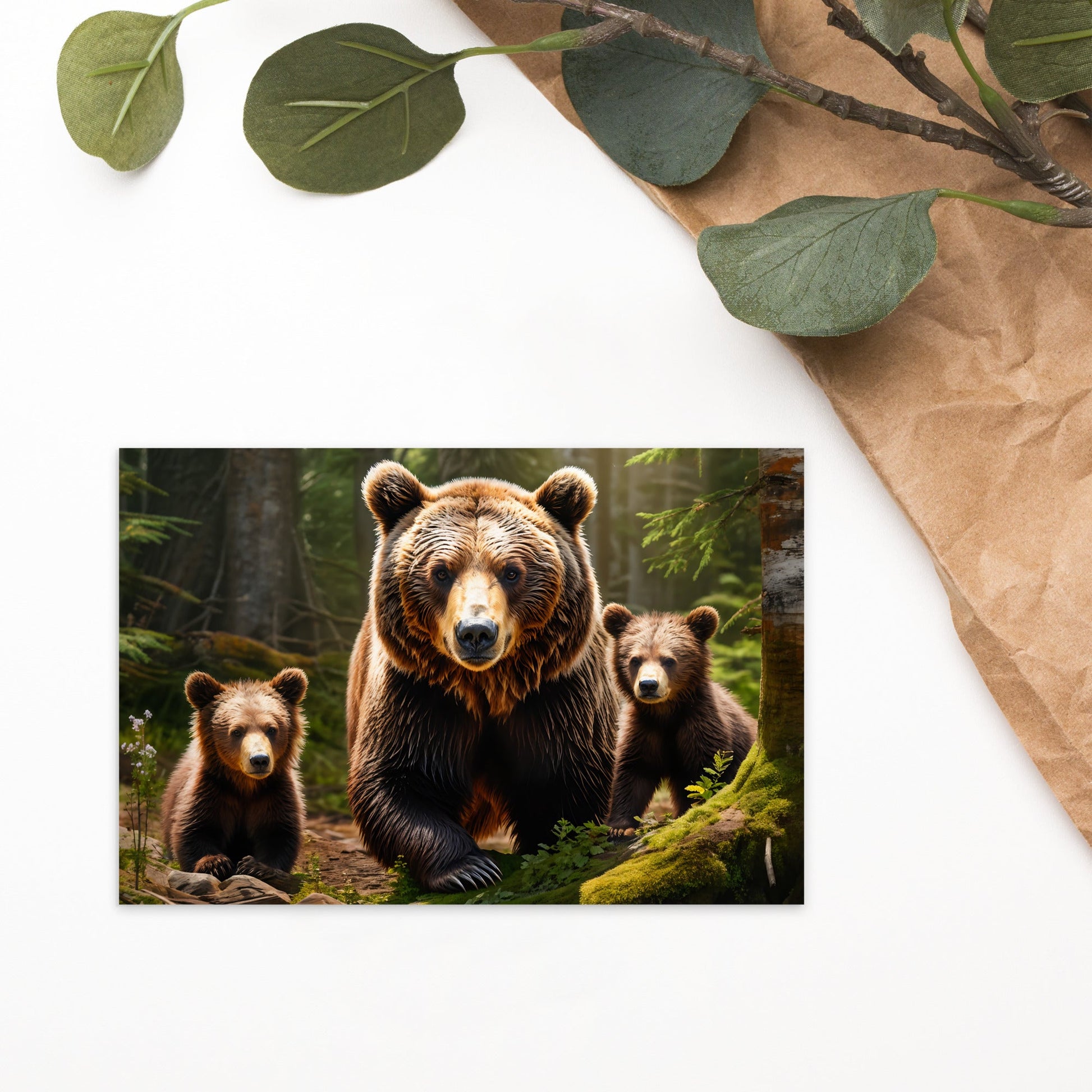 Bear Family Standard Postcard - Post Cards - Discovery Co.