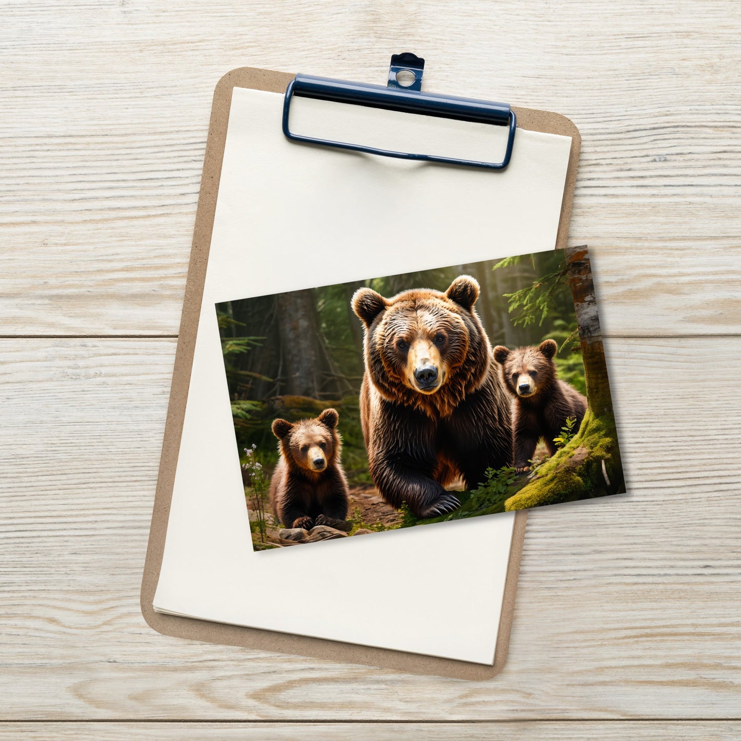 Bear Family Standard Postcard - Post Cards - Discovery Co.