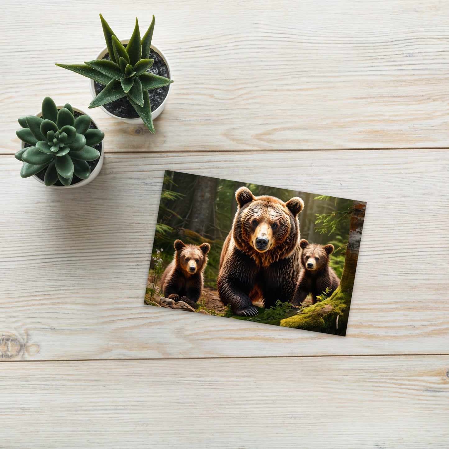 Bear Family Standard Postcard - Post Cards - Discovery Co.