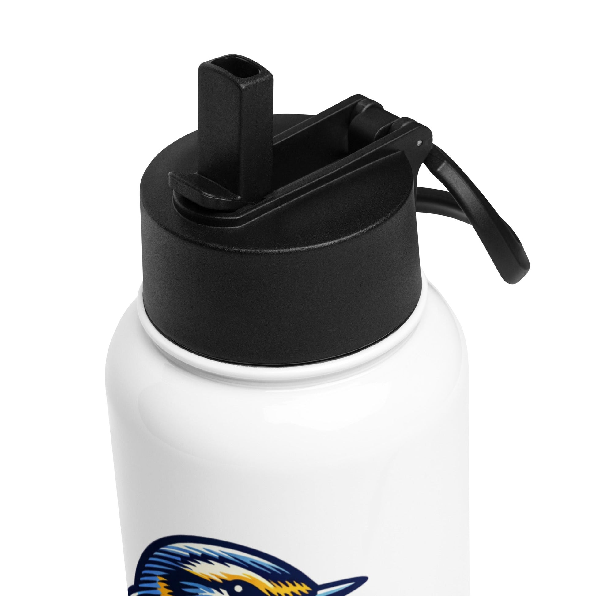 Bird III Stainless Steel Water Bottle With Straw Lid - Stainless Steel Water Bottle With Straw Lid - Discovery Co.