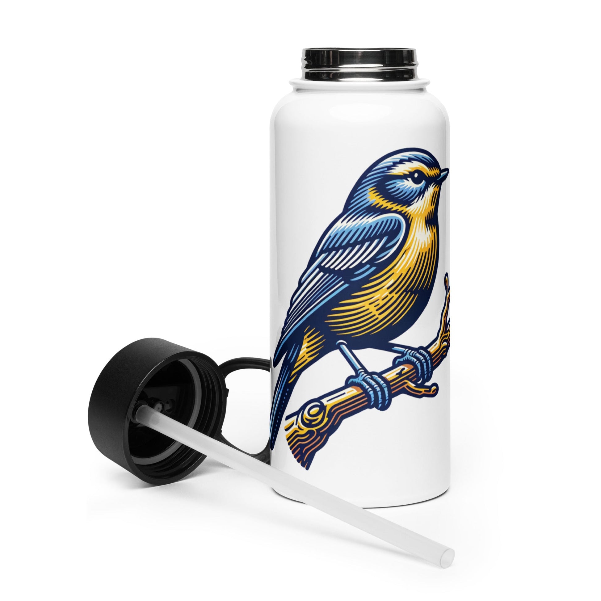 Bird III Stainless Steel Water Bottle With Straw Lid - Stainless Steel Water Bottle With Straw Lid - Discovery Co.