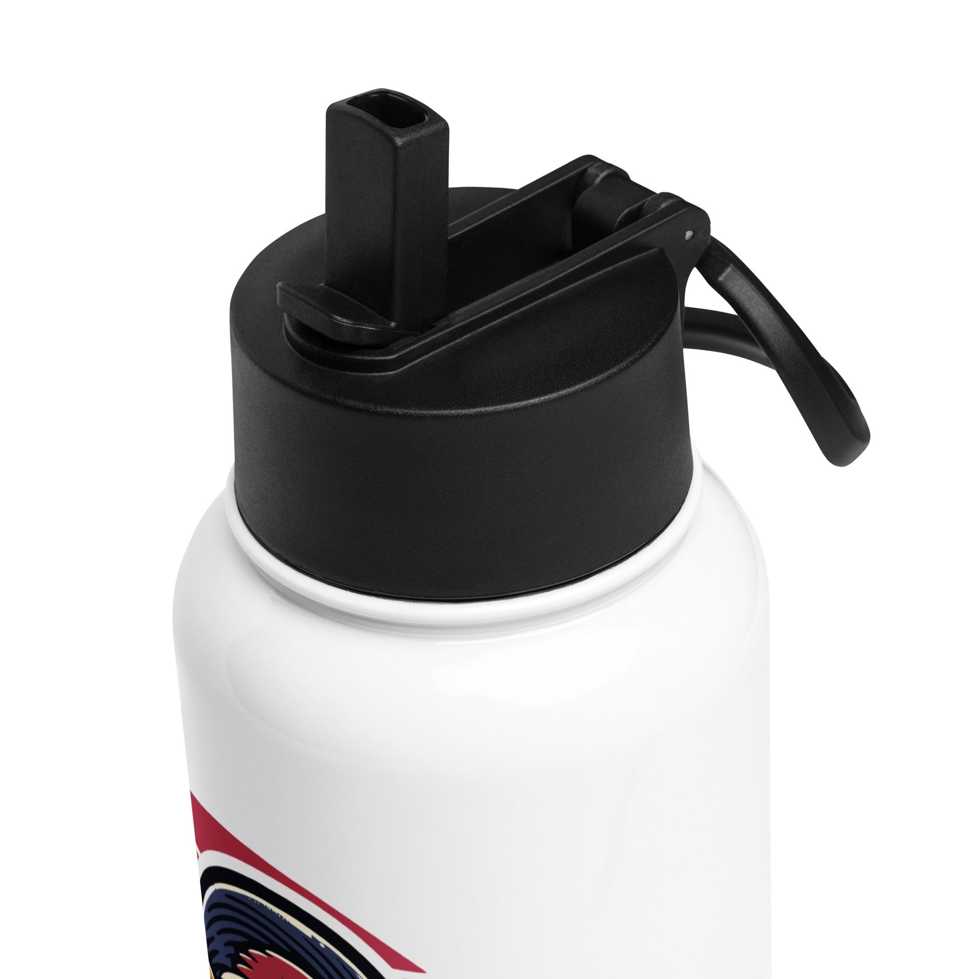 Birds Just Want To Have Fun Stainless Steel Water Bottle With Straw Lid - Stainless Steel Water Bottle With Straw Lid - Discovery Co.