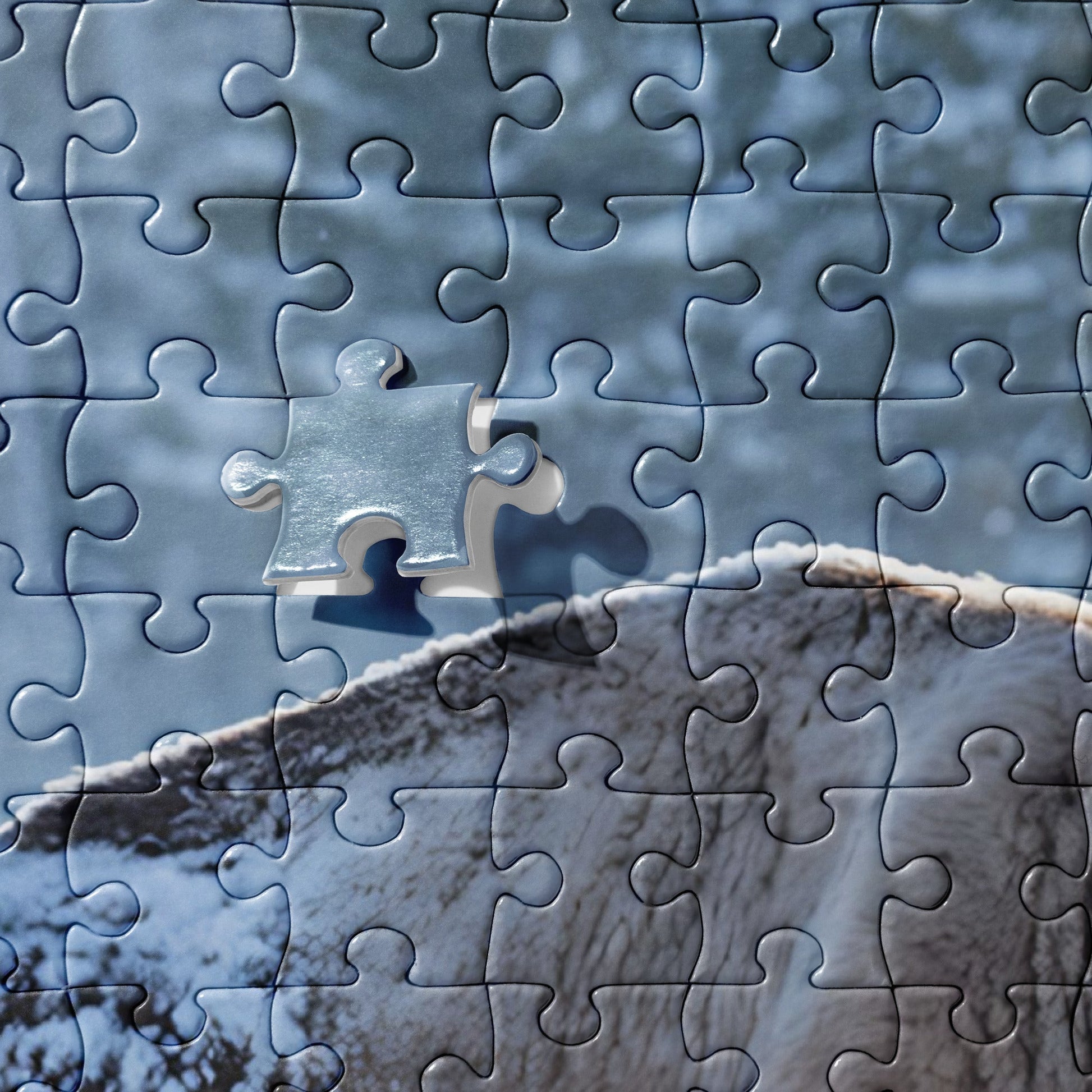 Bison Jigsaw Puzzle - Puzzle - Discovery Co.