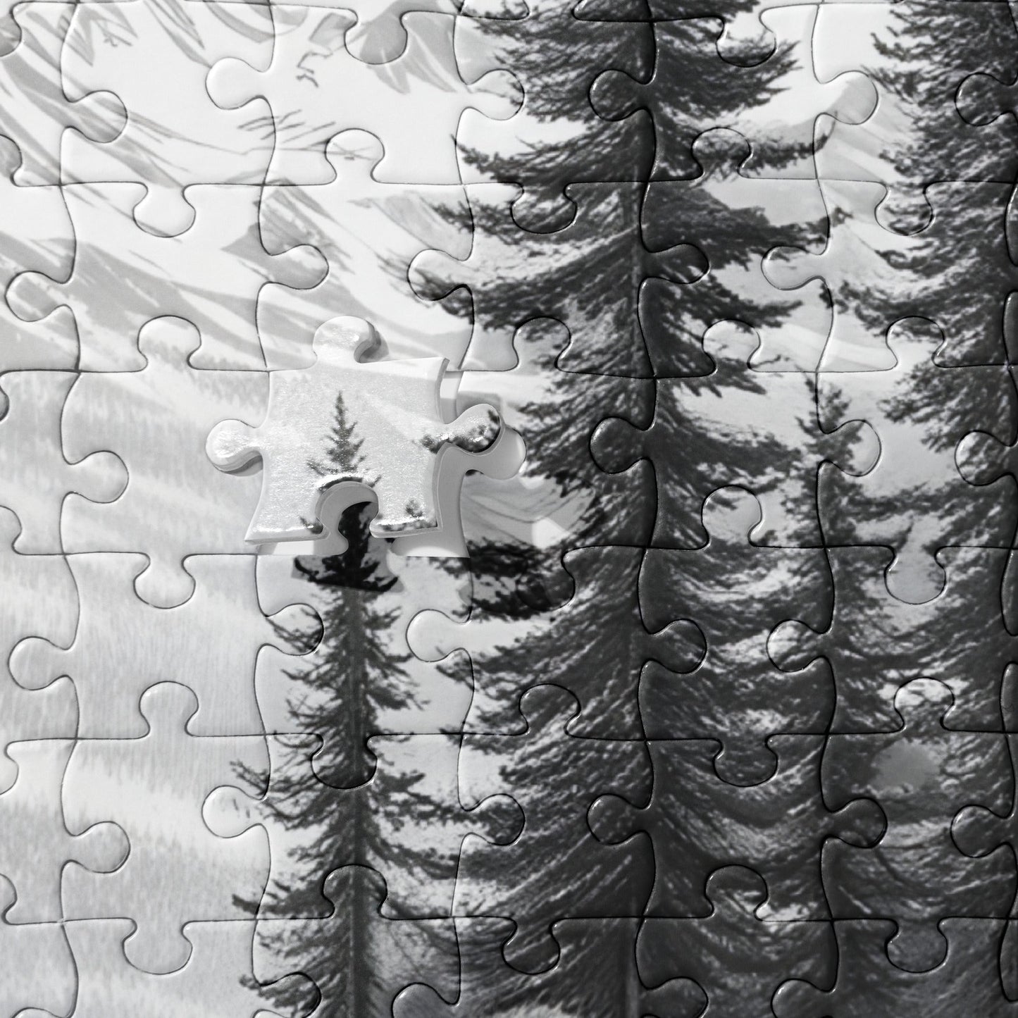 Black And White Bear Jigsaw Puzzle - Puzzle - Discovery Co.