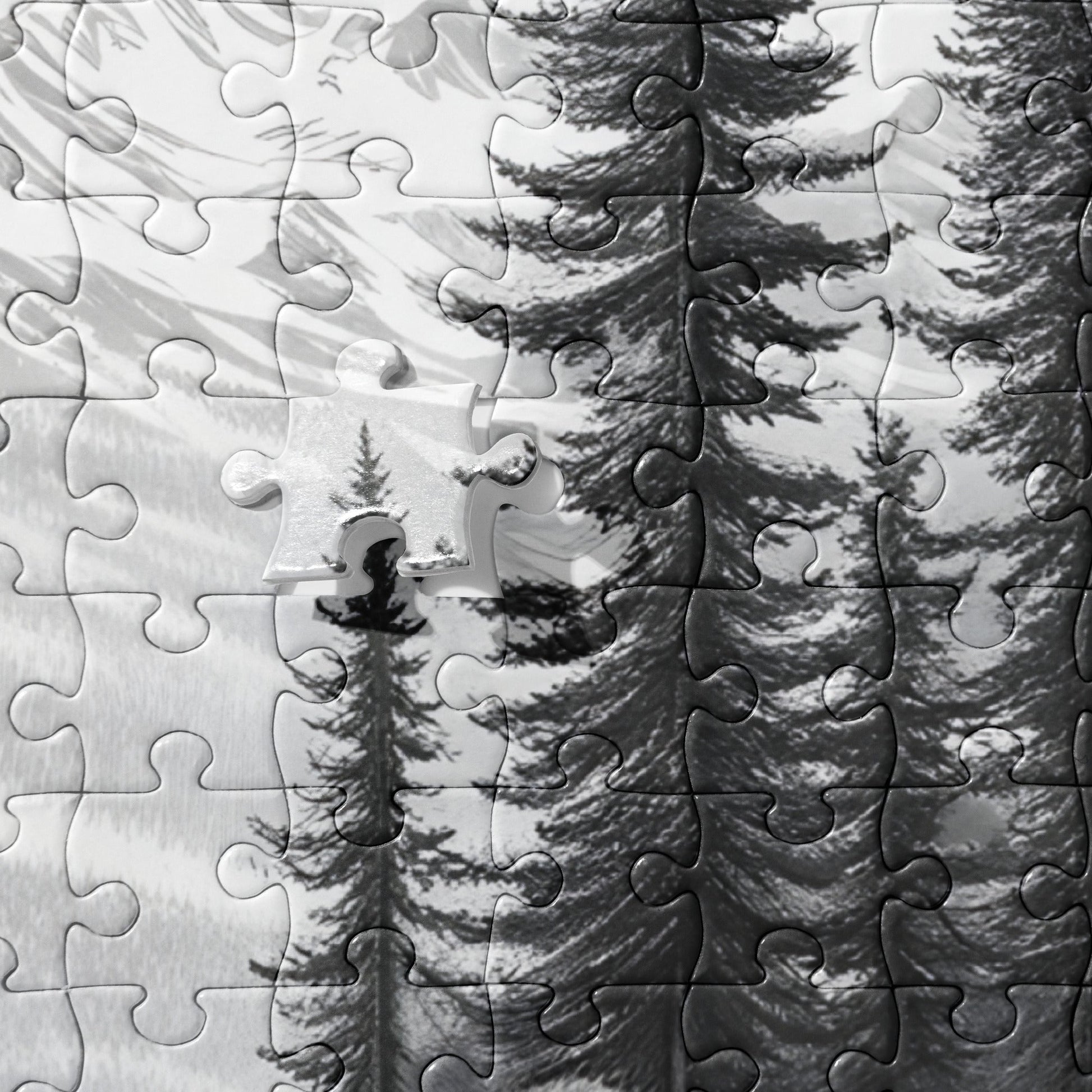 Black And White Bear Jigsaw Puzzle - Puzzle - Discovery Co.
