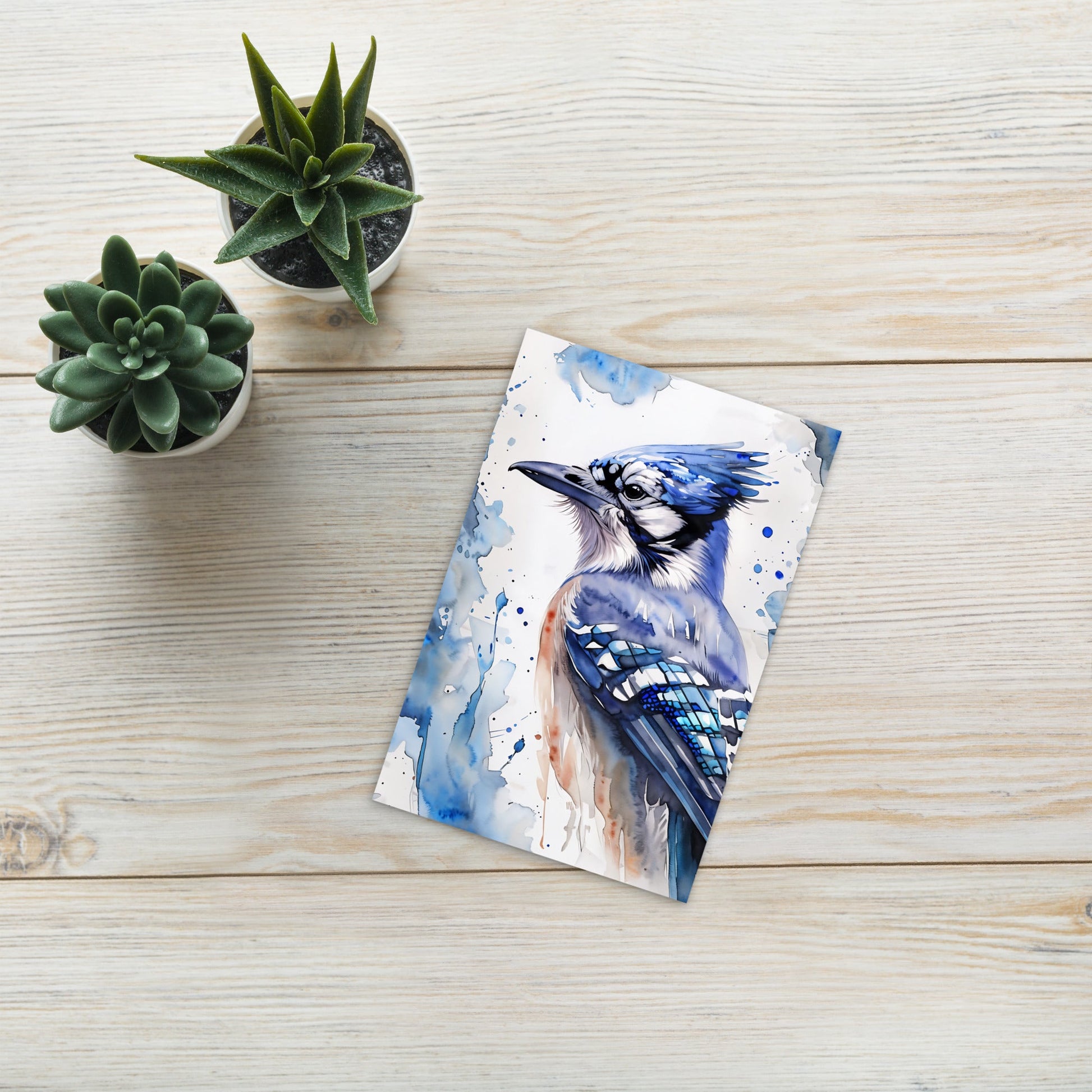 Blue Jay Standard Postcard - Post Cards - Discovery Co.