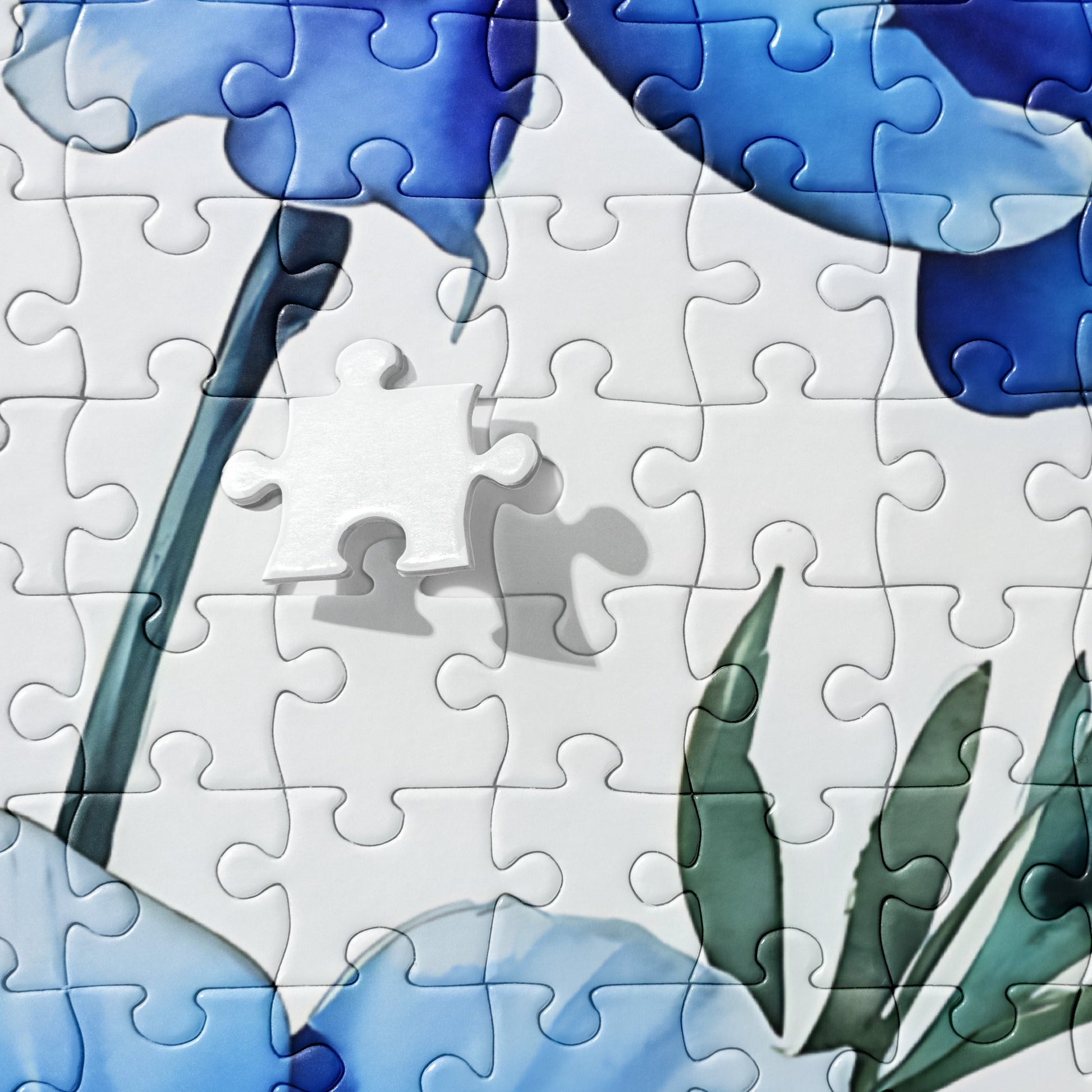 Blue Poppies Jigsaw Puzzle - Puzzle - Discovery Co.