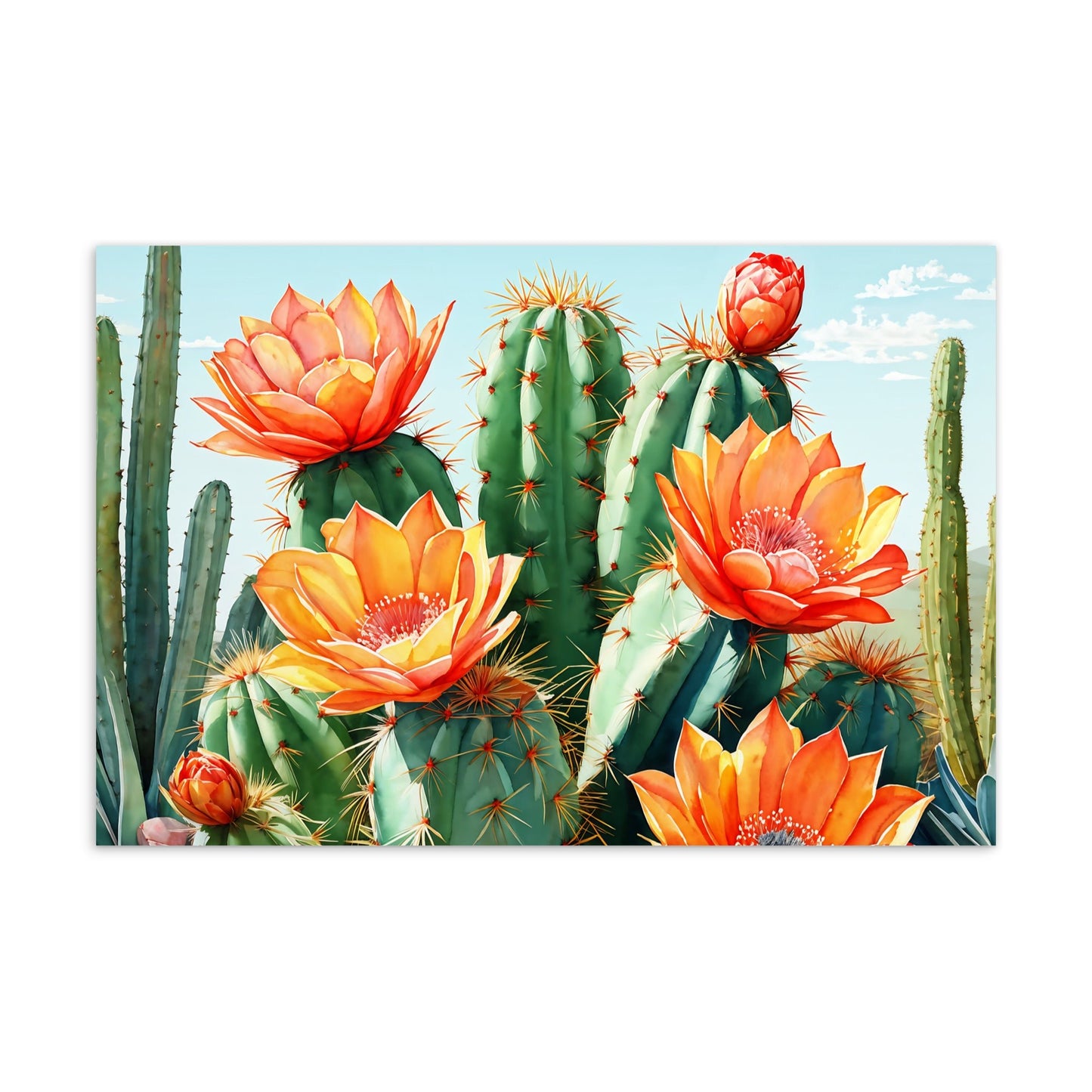 Cactus Bloom Standard Postcard - Post Cards - Discovery Co.