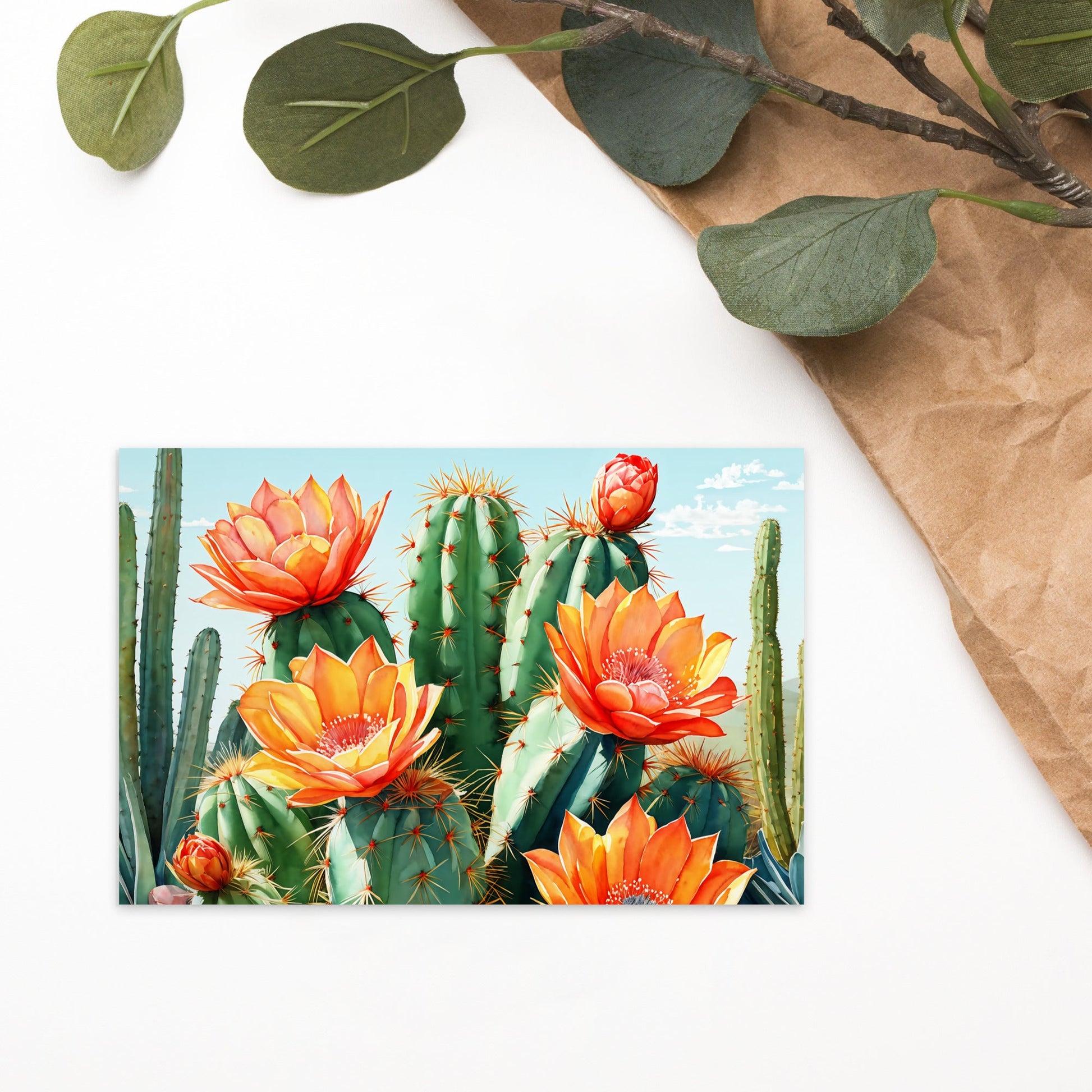 Cactus Bloom Standard Postcard - Post Cards - Discovery Co.