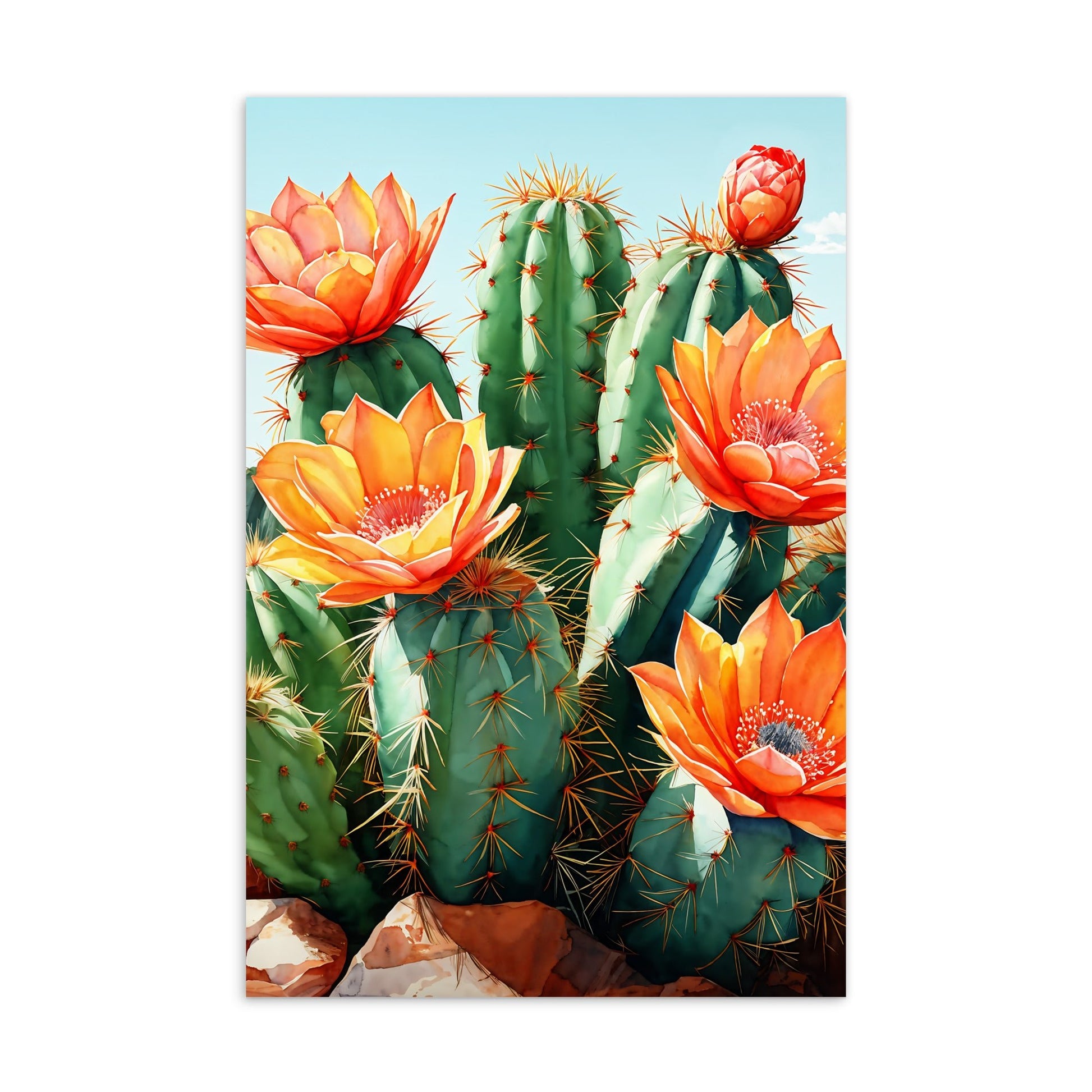 Cactus Bloom (tall view) Standard Postcard - Post Cards - Discovery Co.