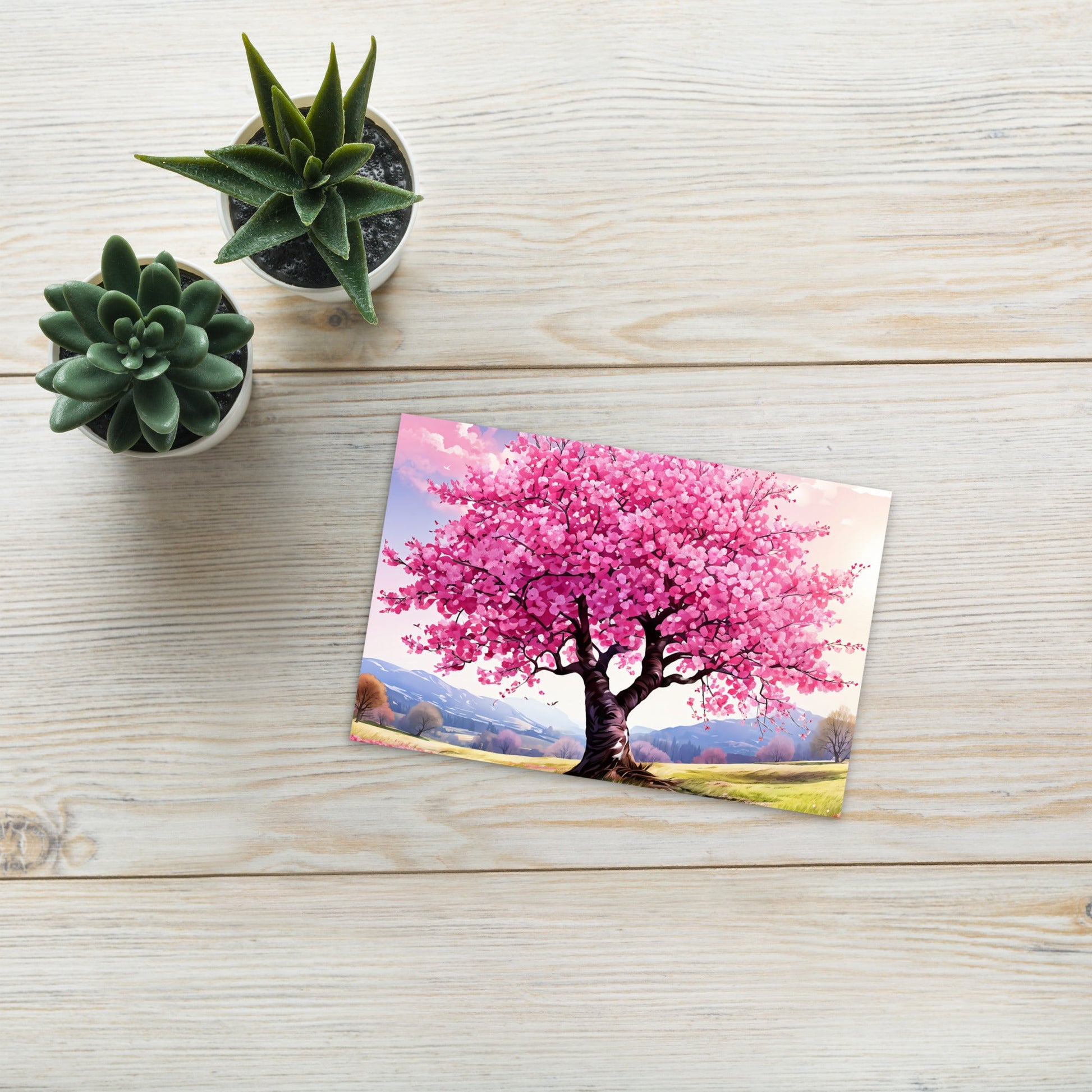 Cherry Blossom (wide view) Standard Postcard - Post Cards - Discovery Co.