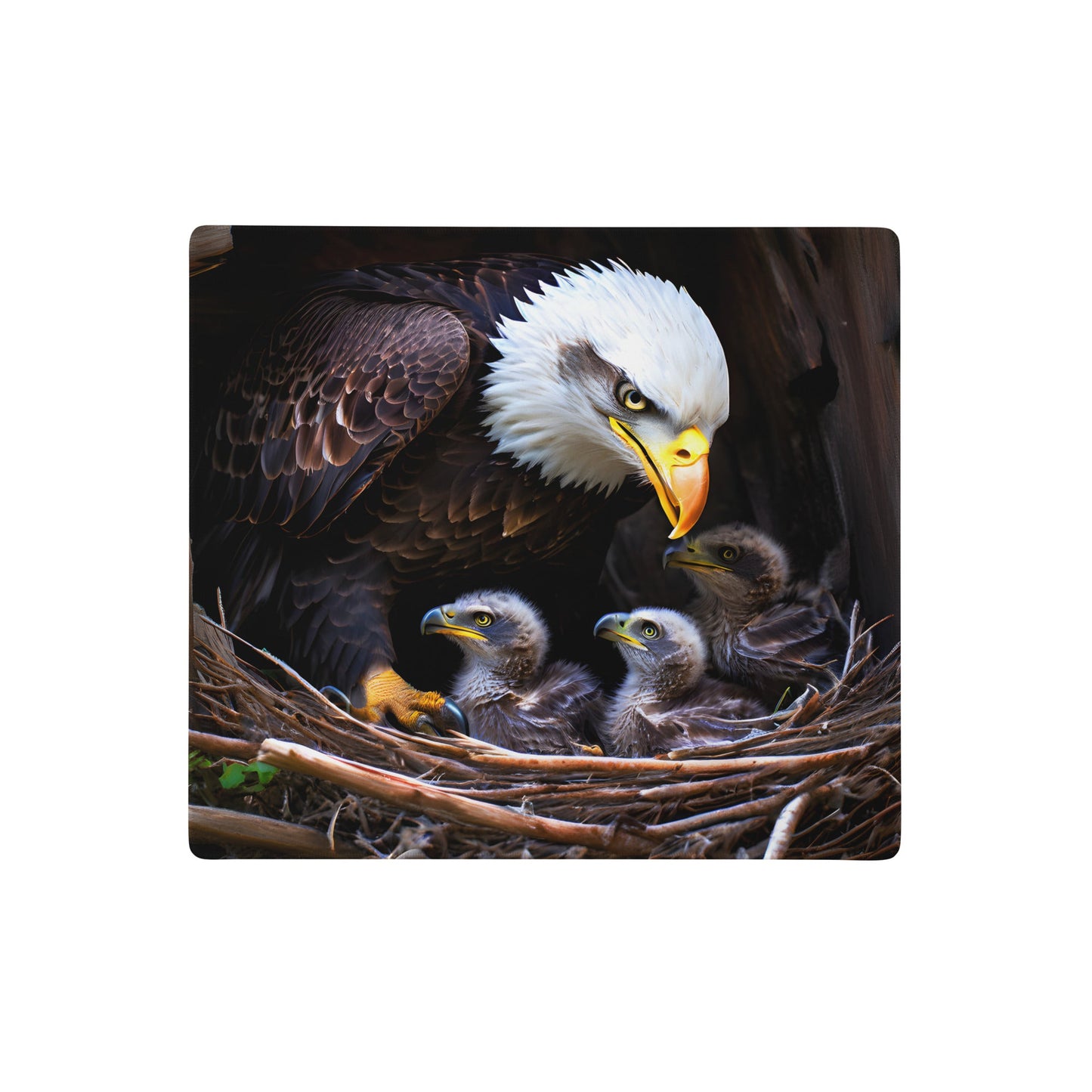 Eagle Gaming Mouse Pad - Discovery Co.