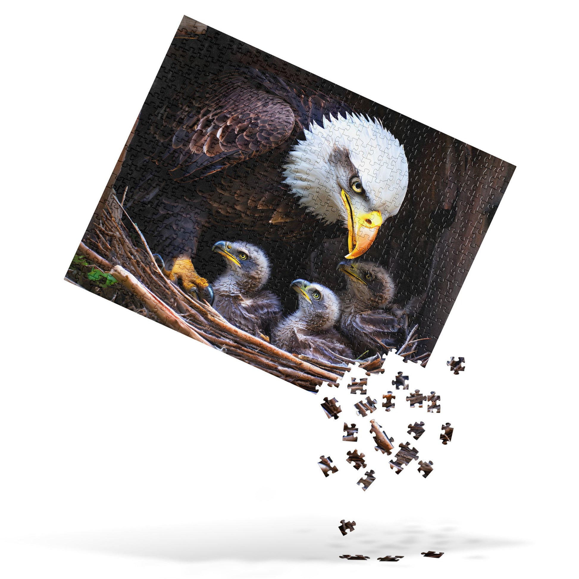 Eagle Jigsaw Puzzle - Puzzle - Discovery Co.