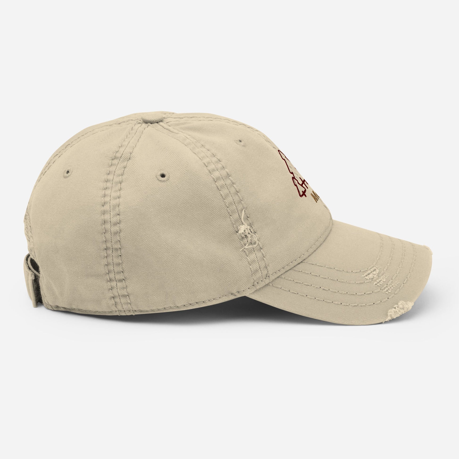 Explore More With Trees Distressed Hat - Hats - Discovery Co.