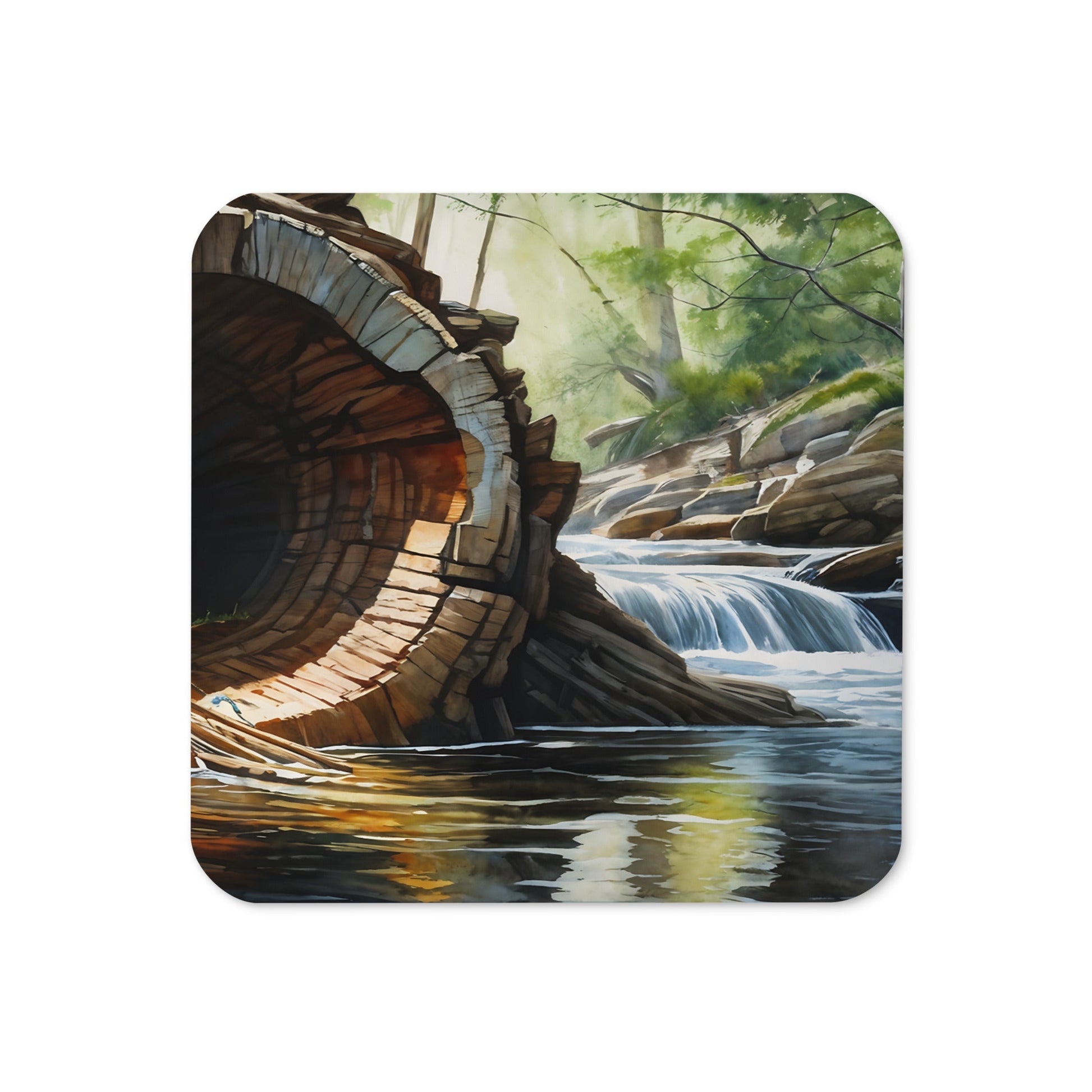 Fallen Tree Cork - back Coaster - Coasters - Discovery Co.