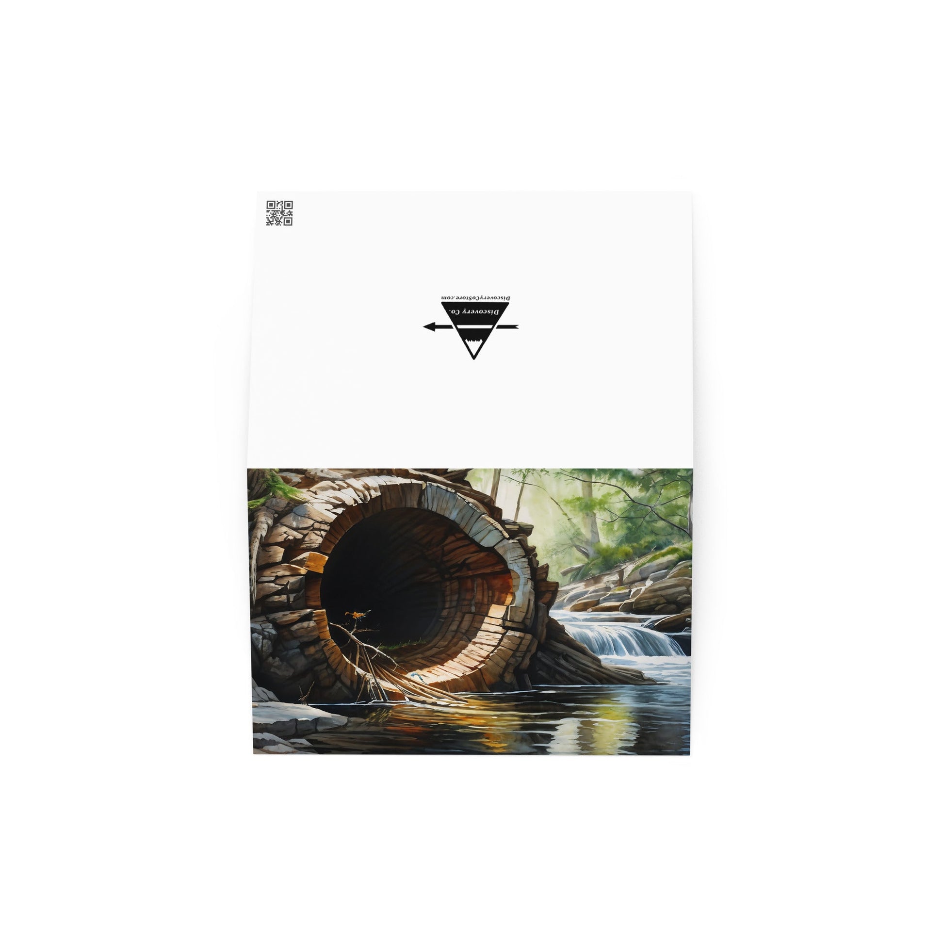 Fallen Tree Greeting Card - Greeting Card - Discovery Co.