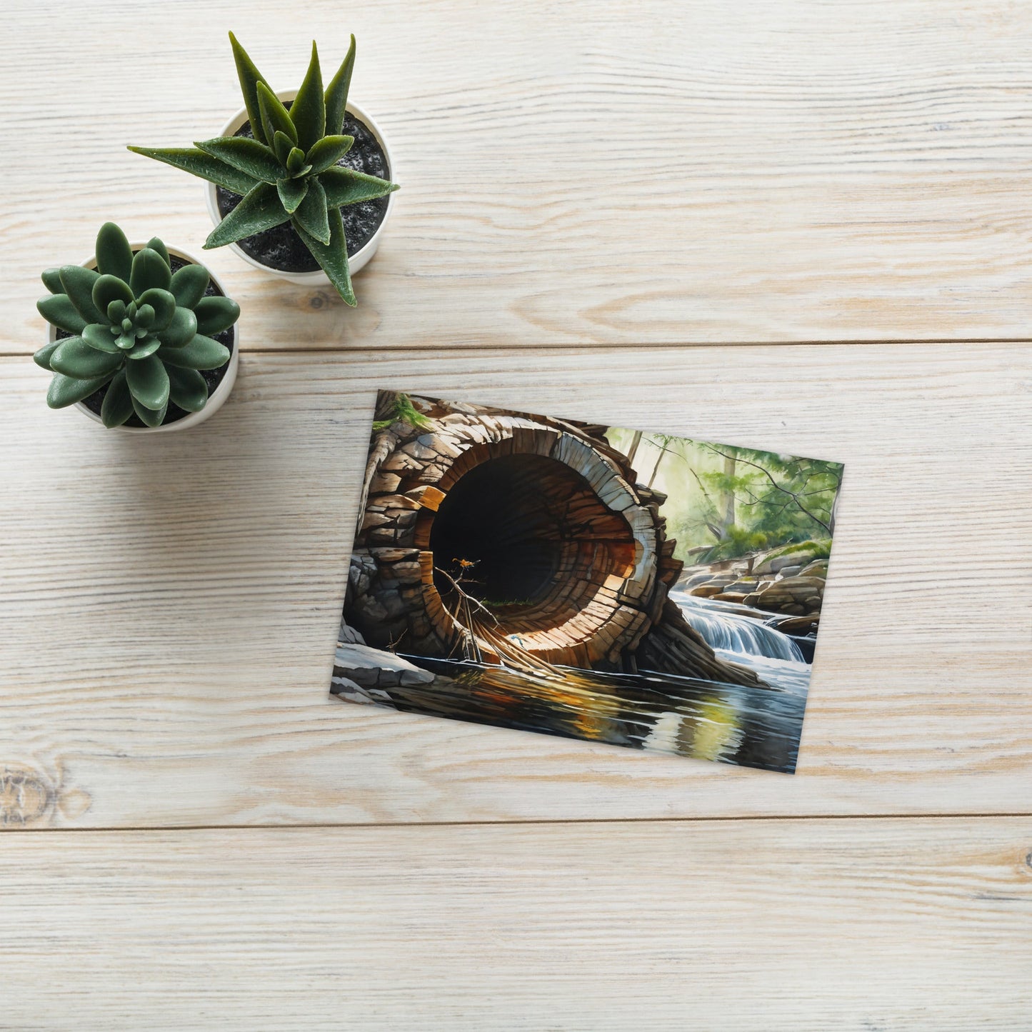 Fallen Tree Greeting Card - Greeting Card - Discovery Co.