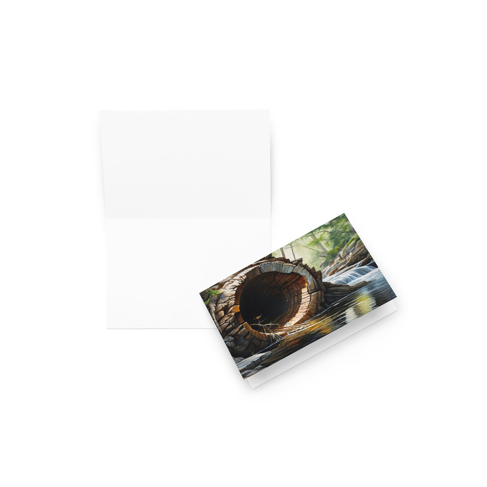 Fallen Tree Greeting Card - Greeting Card - Discovery Co.