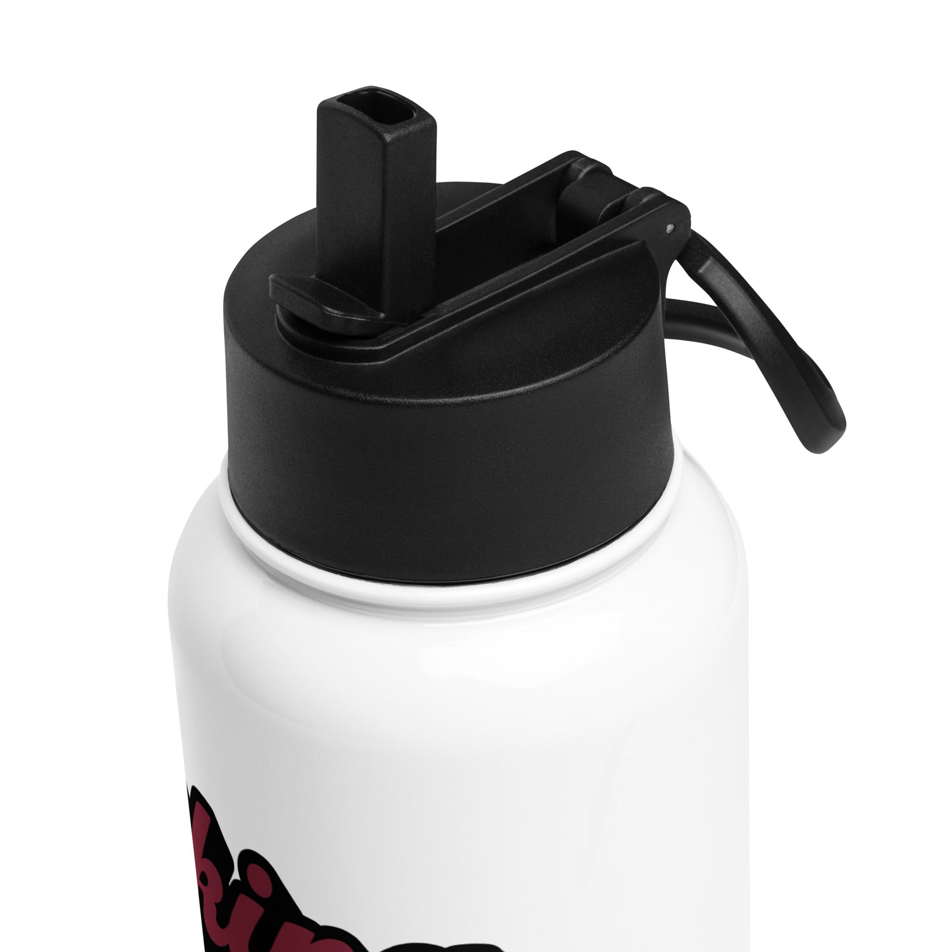 Hiking With Birds Stainless Steel Water Bottle With Straw Lid - Stainless Steel Water Bottle With Straw Lid - Discovery Co.
