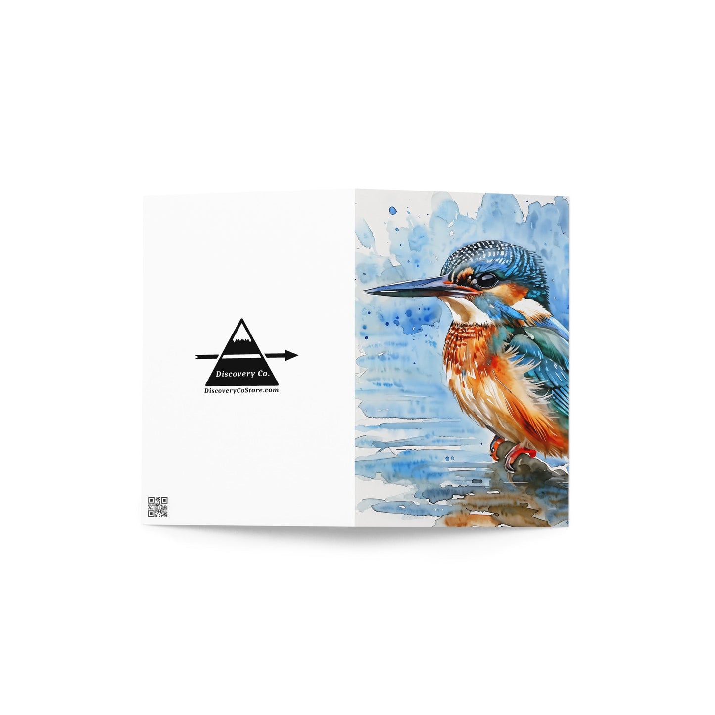 Kingfisher Greeting Card - Greeting Card - Discovery Co.