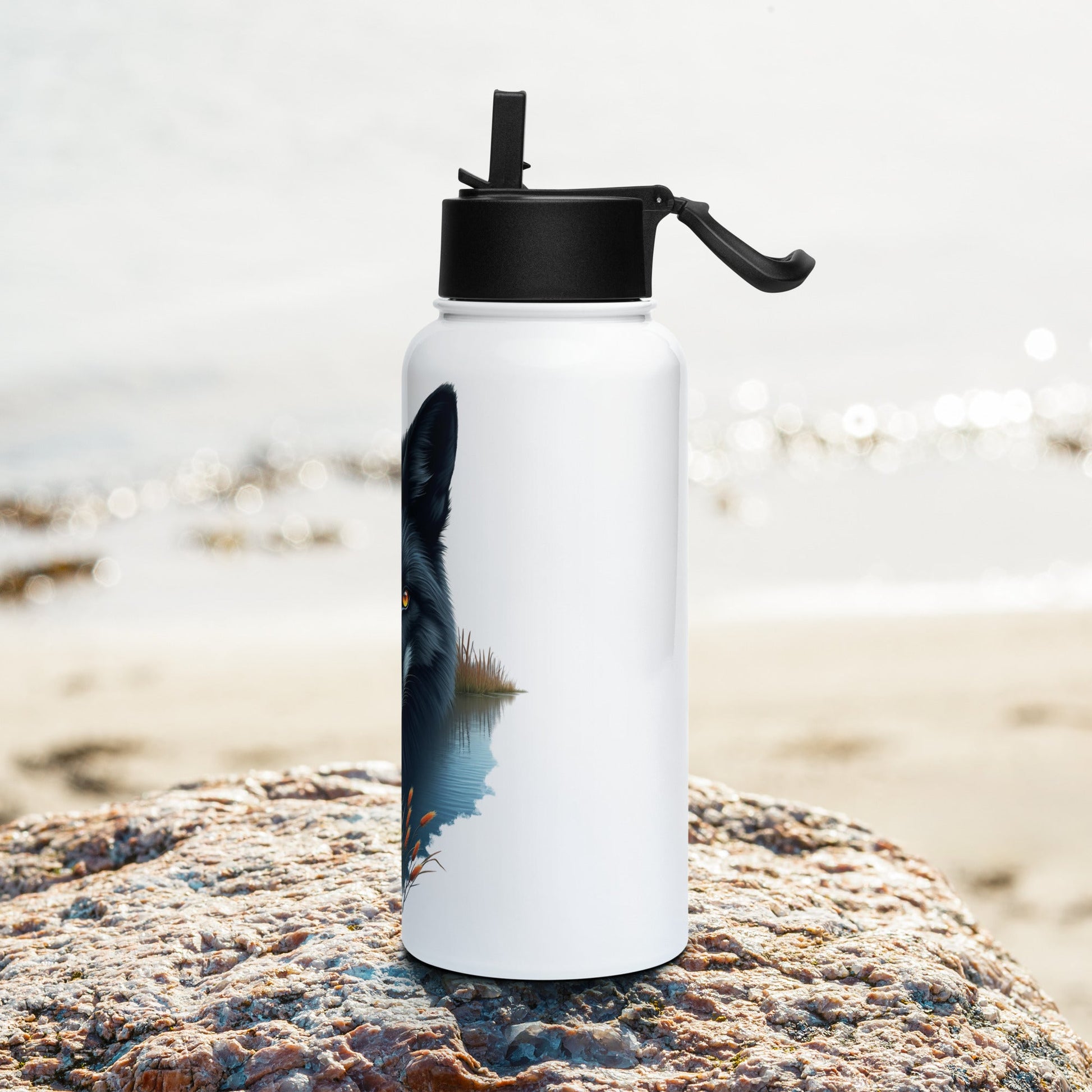 Mystic Fox Stainless Steel Water Bottle With Straw Lid - Stainless Steel Water Bottle With Straw Lid - Discovery Co.