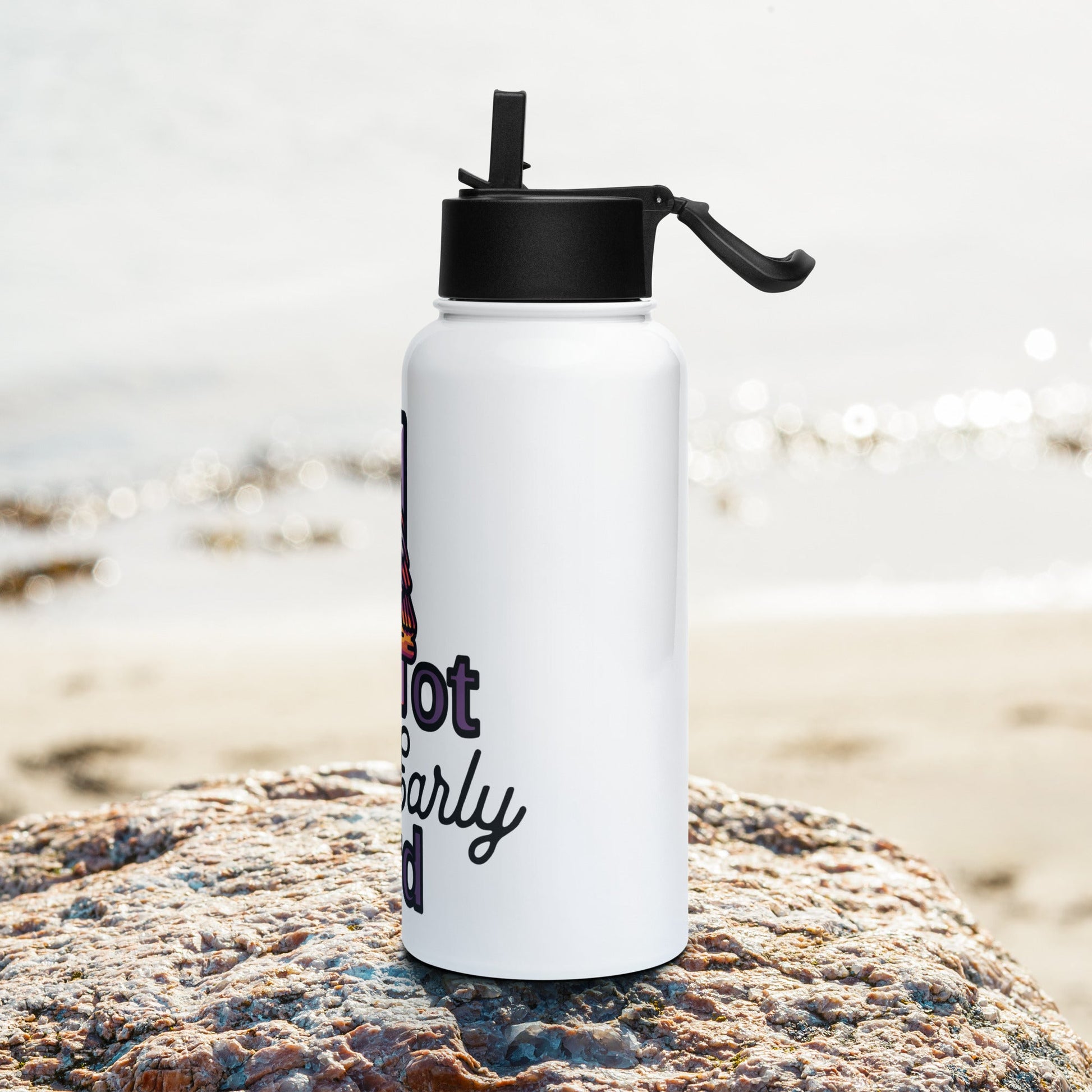 Not An Early Bird Stainless Steel Water Bottle With Straw Lid - Stainless Steel Water Bottle With Straw Lid - Discovery Co.