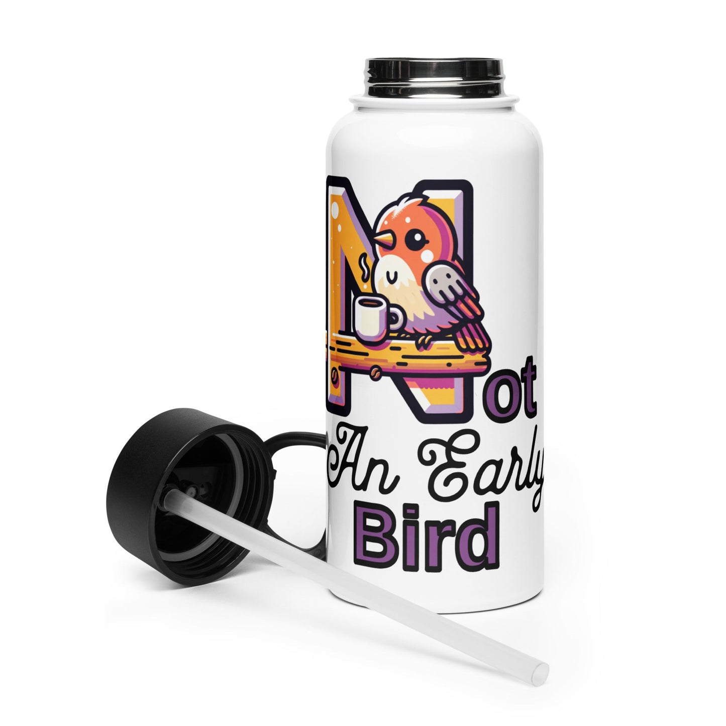 Not An Early Bird Stainless Steel Water Bottle With Straw Lid - Stainless Steel Water Bottle With Straw Lid - Discovery Co.